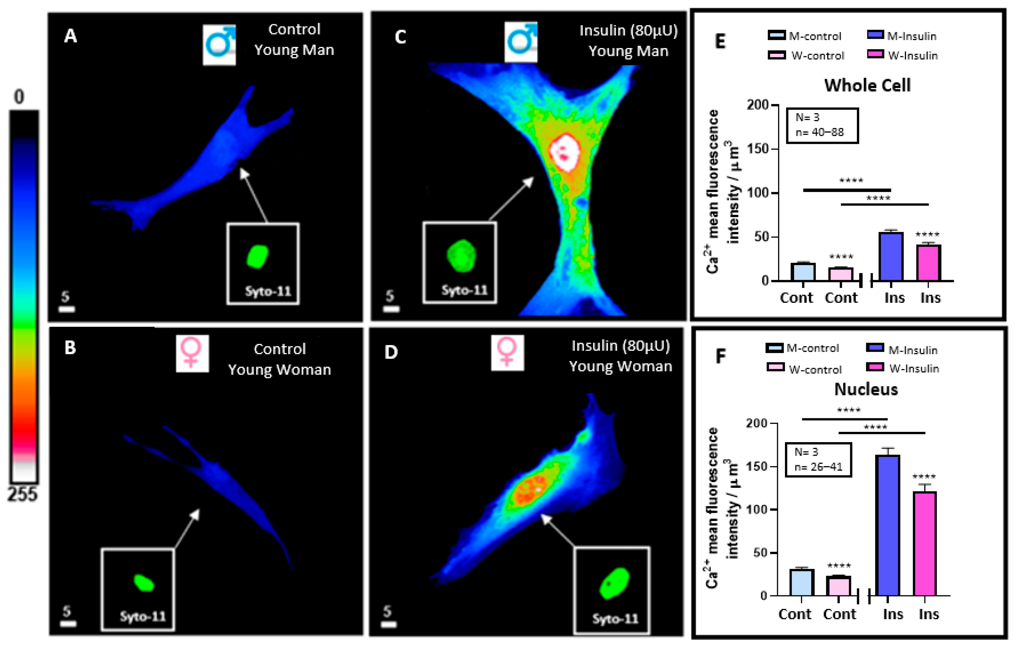 Pathophysiology 32 00012 g002