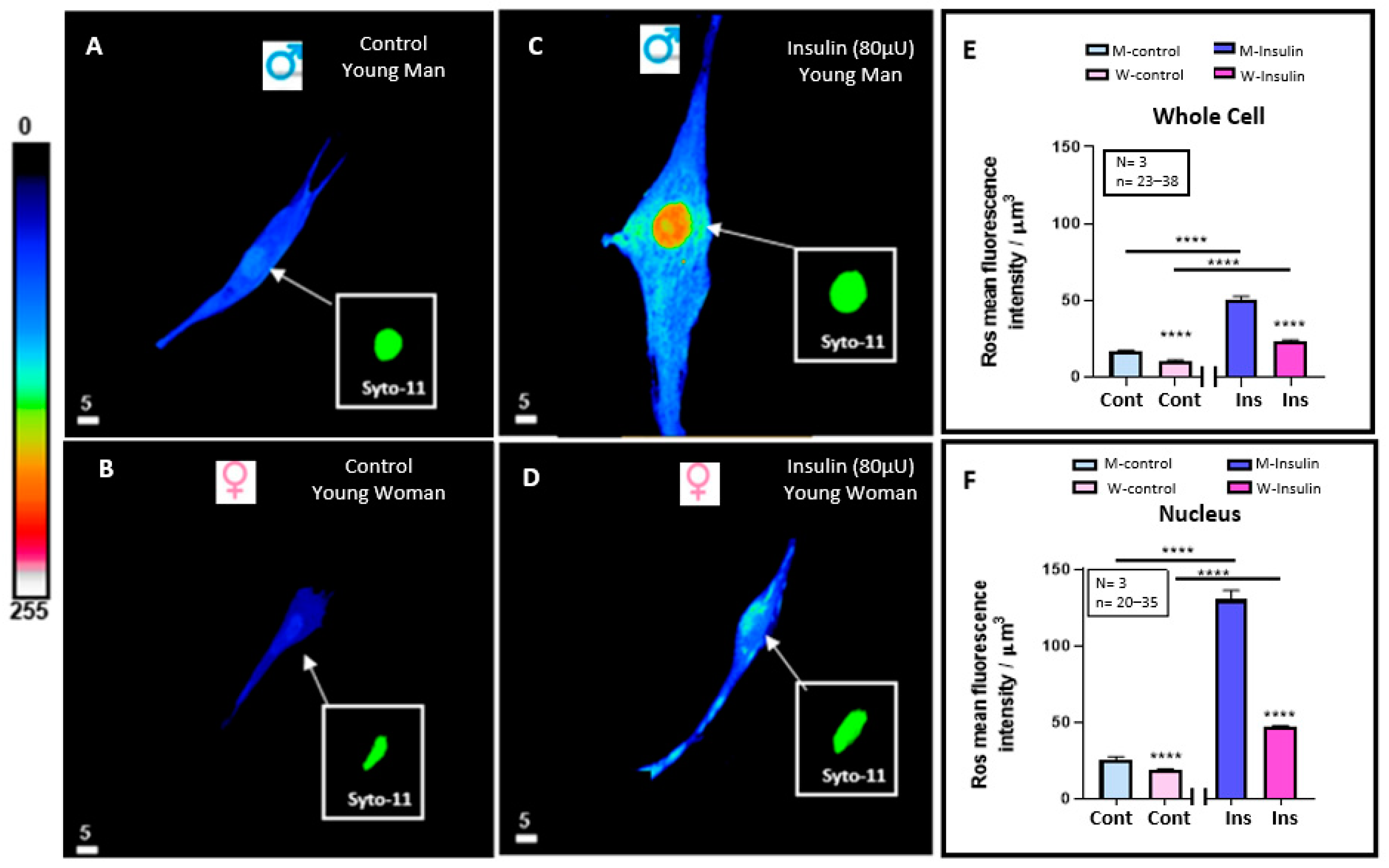 Pathophysiology 32 00012 g003