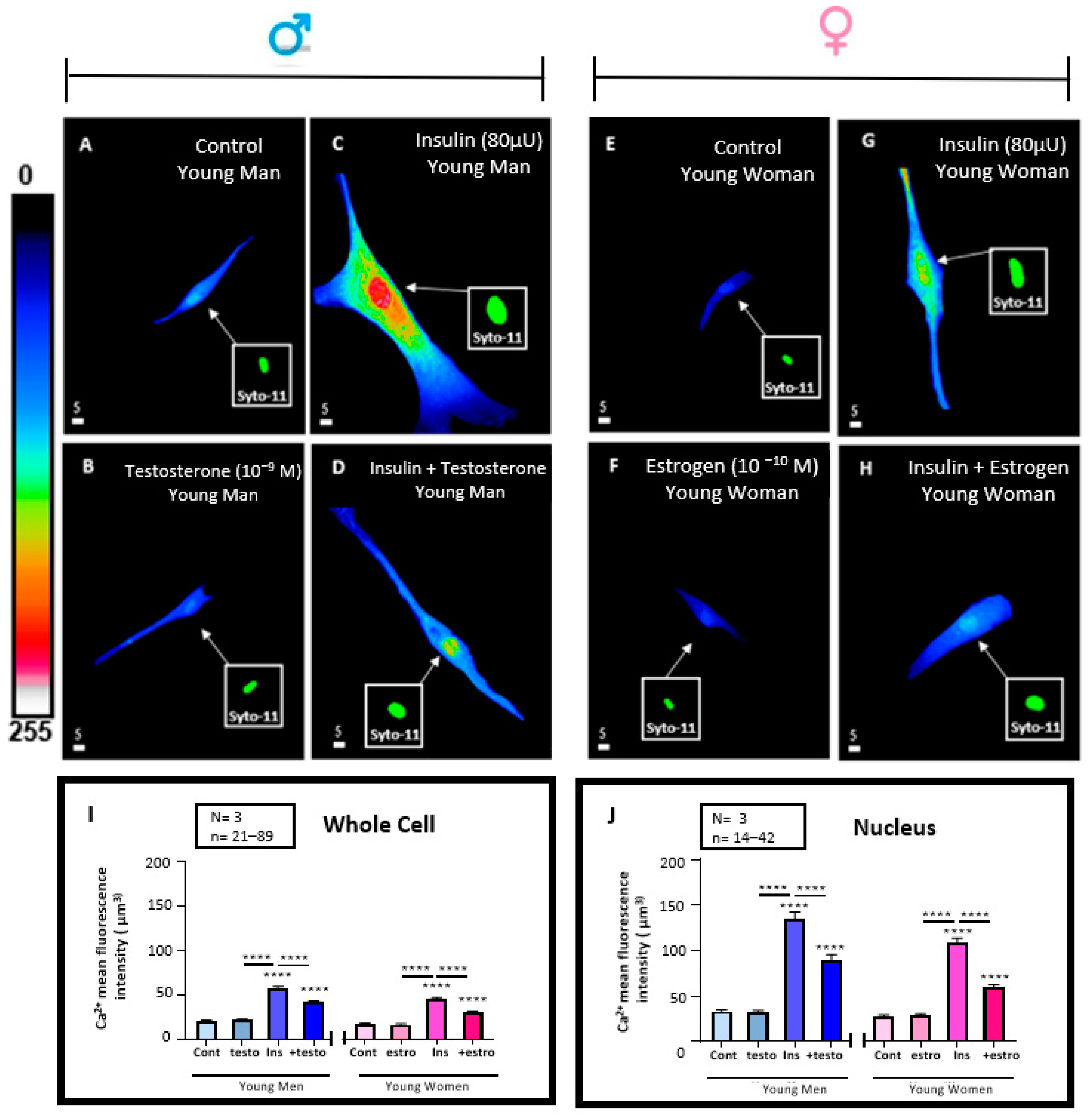 Pathophysiology 32 00012 g006