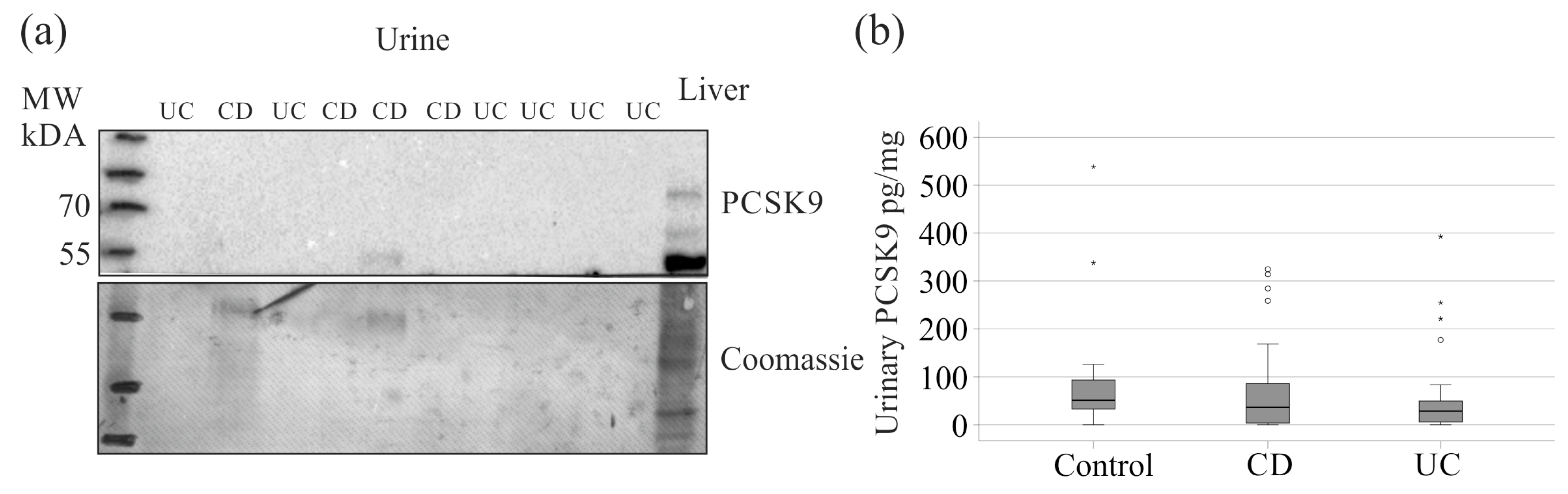 Pathophysiology 32 00013 g004