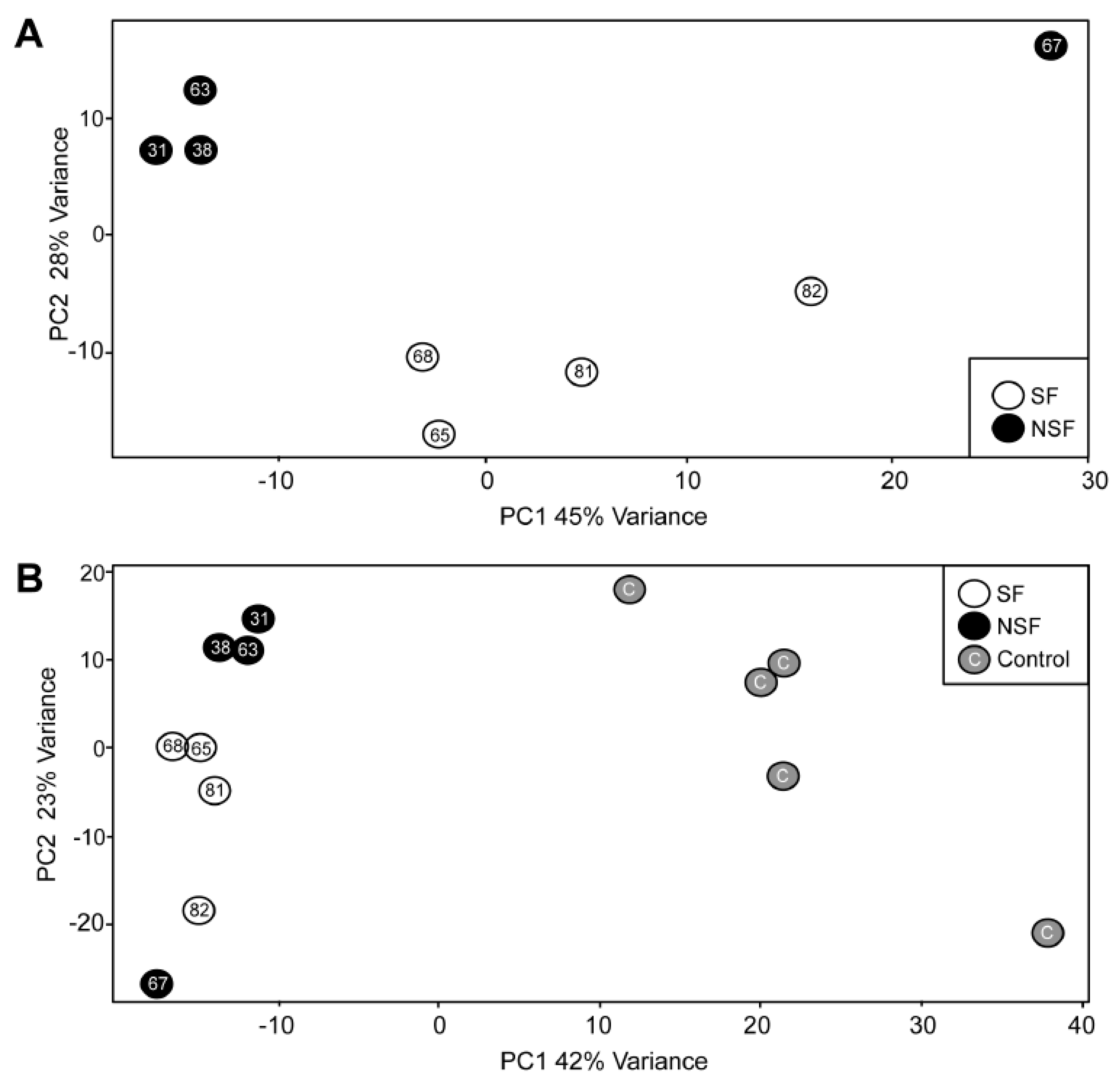 Pathophysiology 32 00015 g001