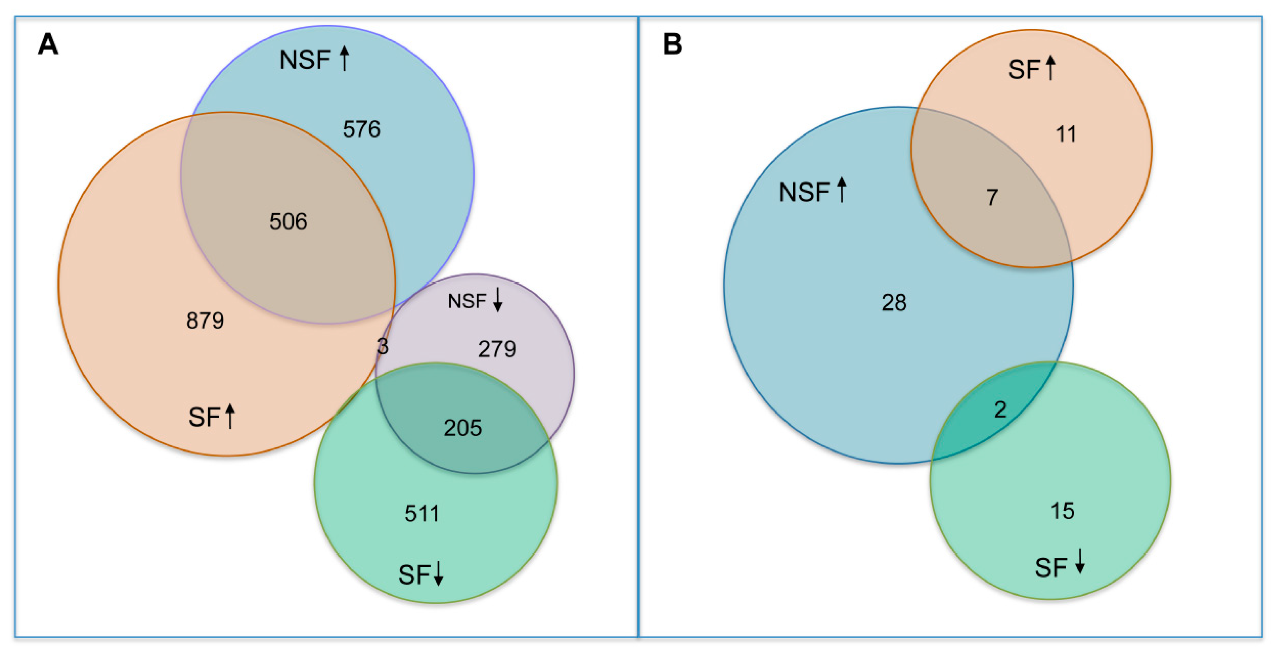 Pathophysiology 32 00015 g002