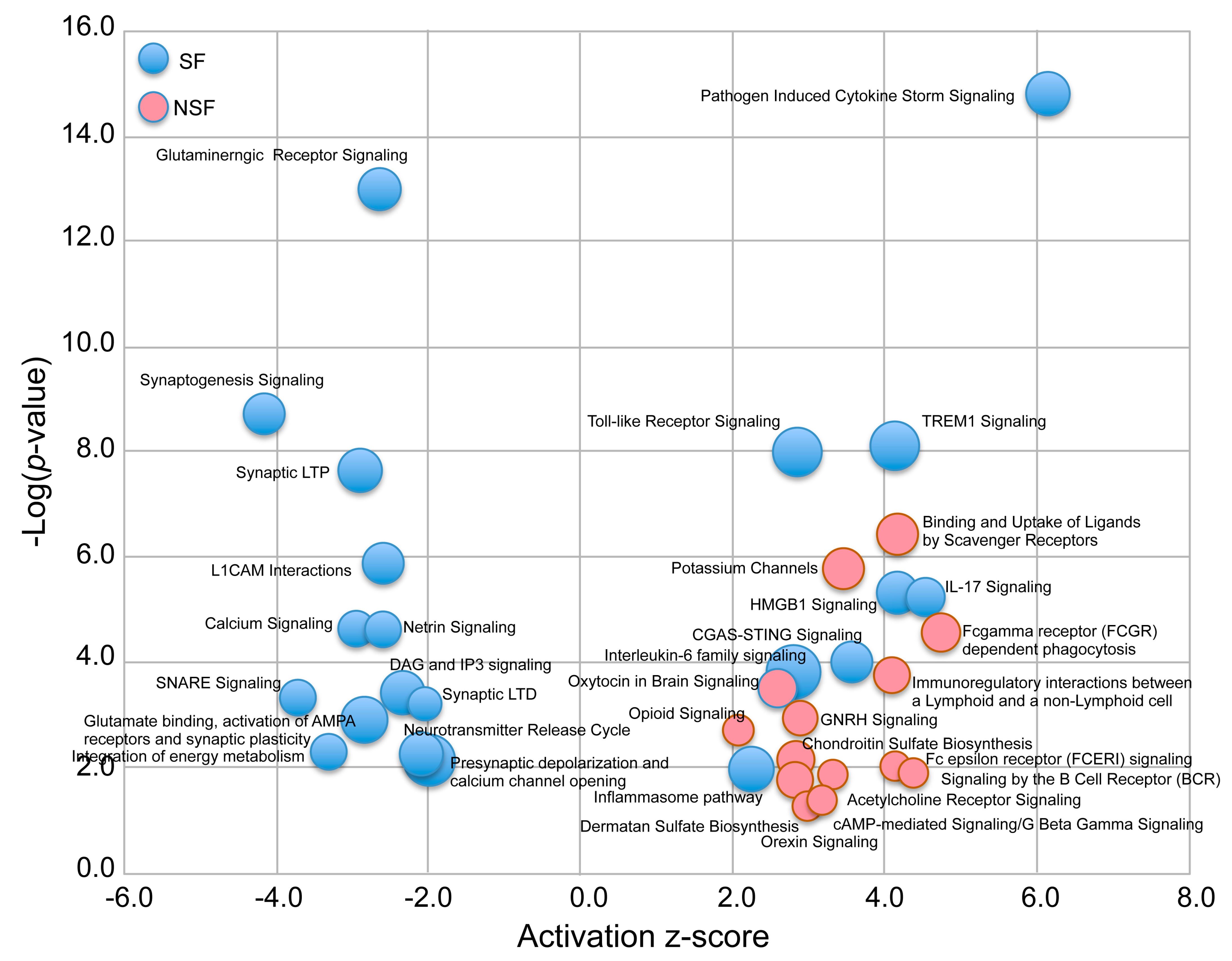 Pathophysiology 32 00015 g004