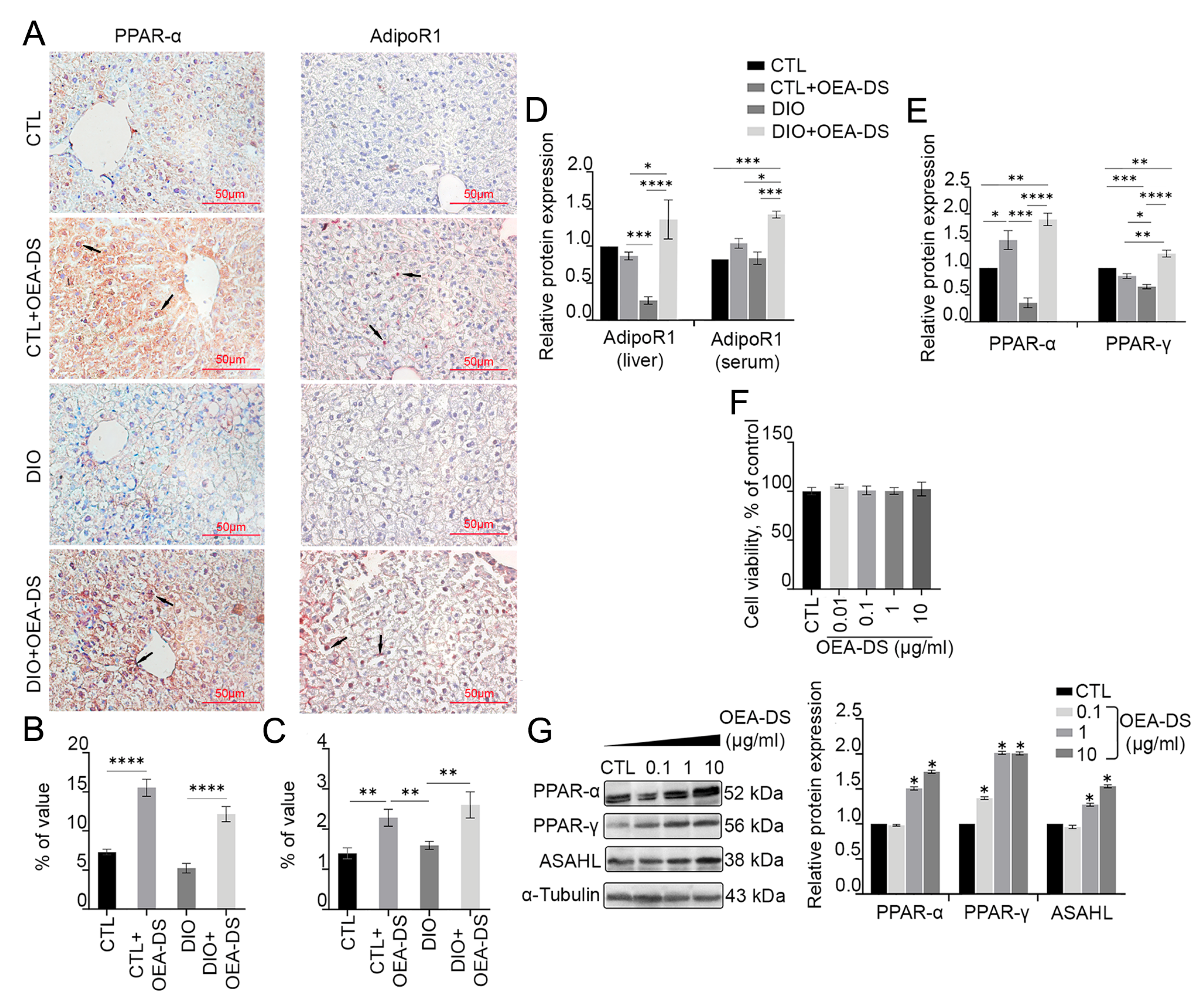 Pathophysiology 32 00016 g002