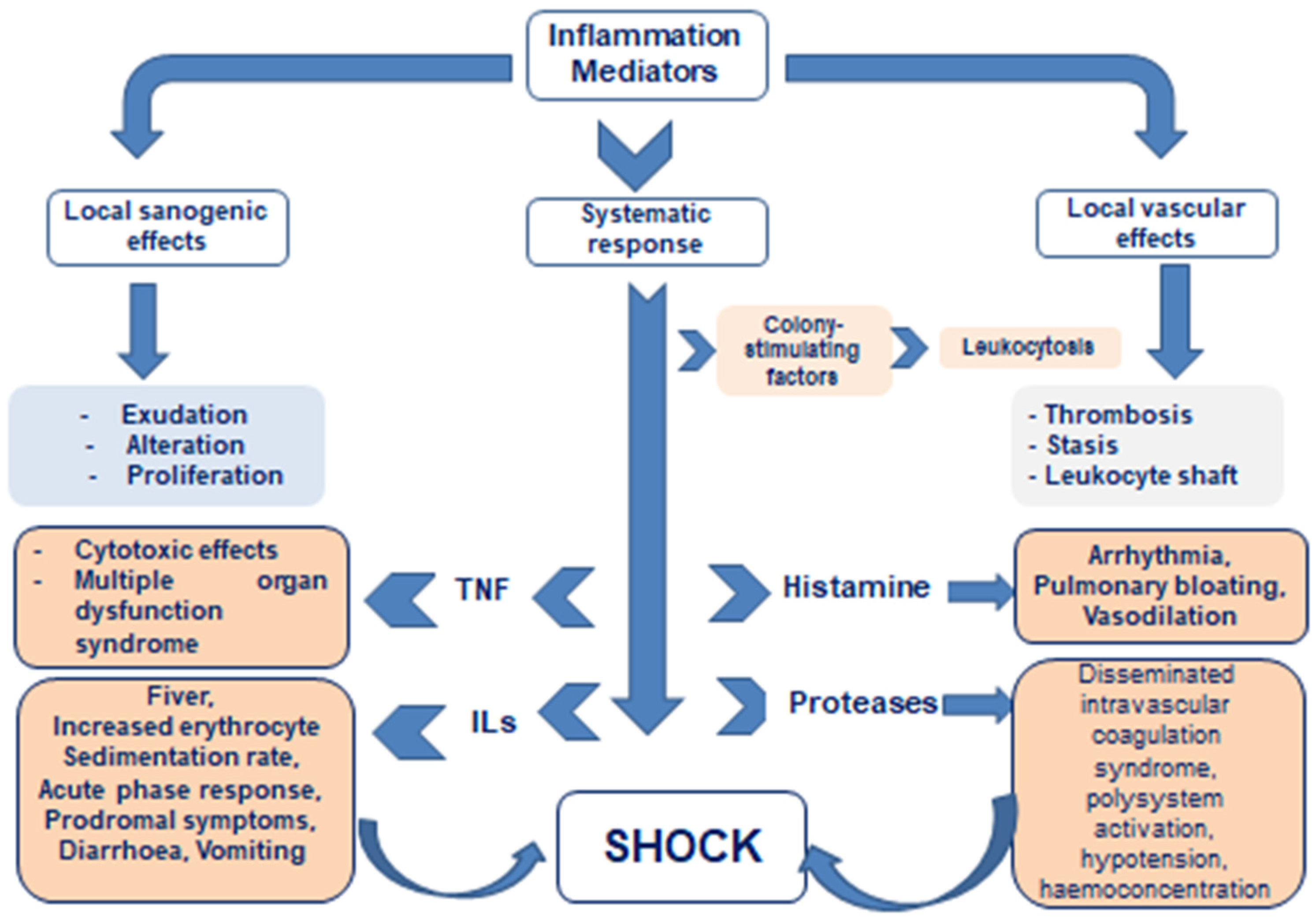 Pathophysiology 32 00017 g001
