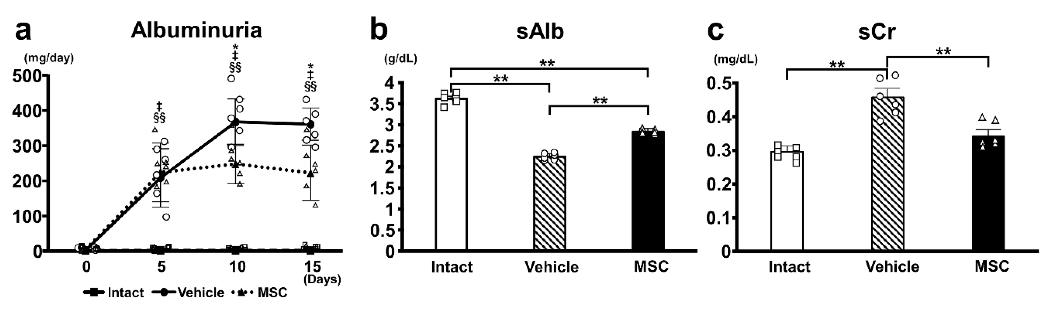 Pathophysiology 32 00019 g002
