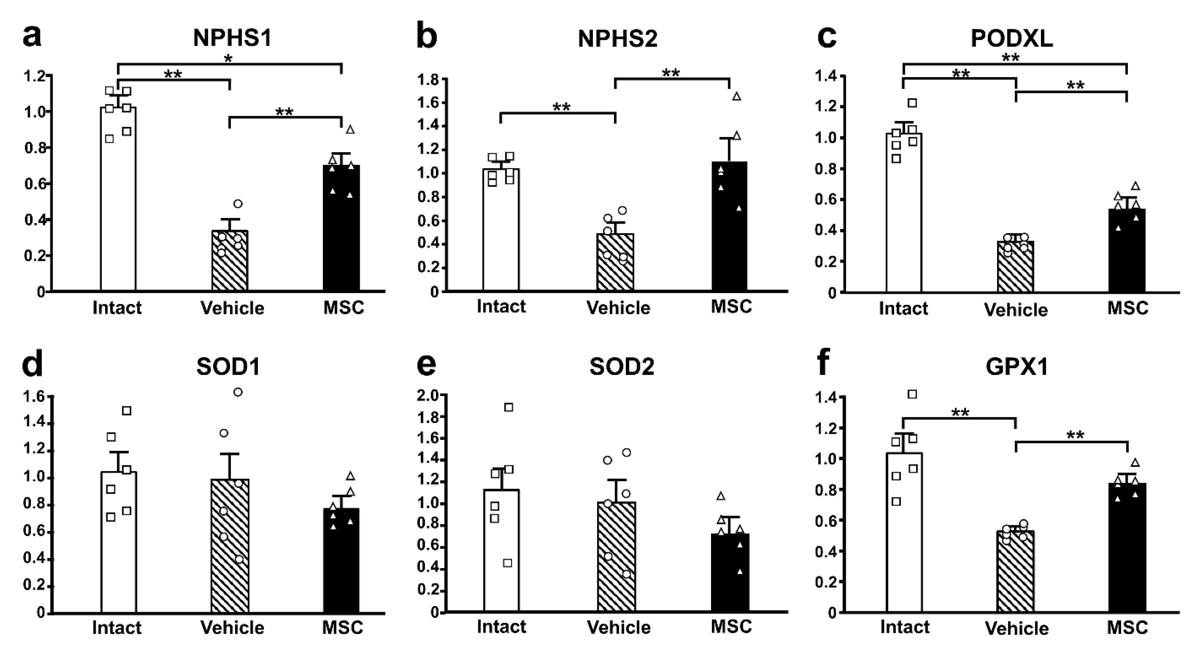 Pathophysiology 32 00019 g005