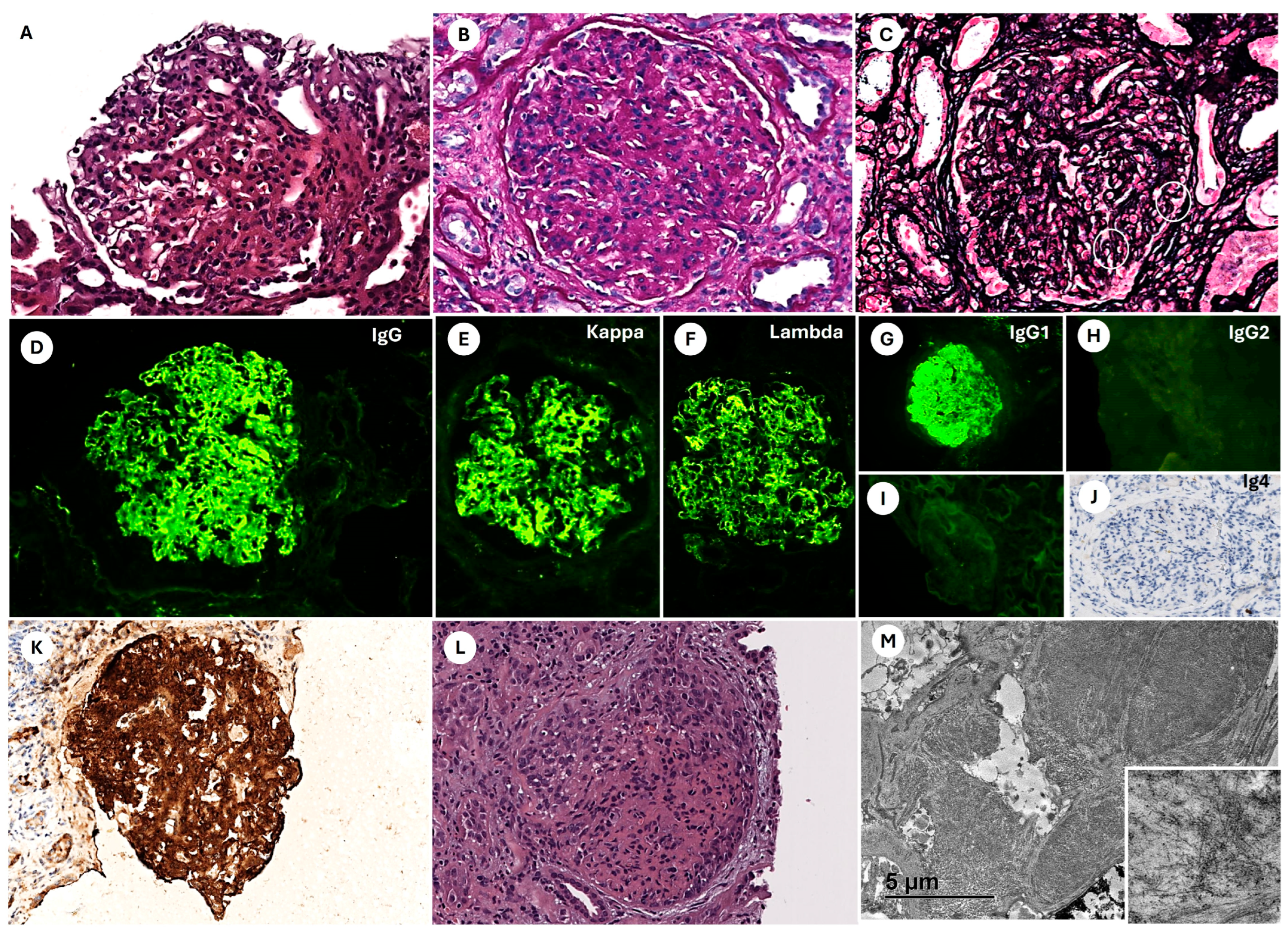 Pathophysiology 32 00022 g003