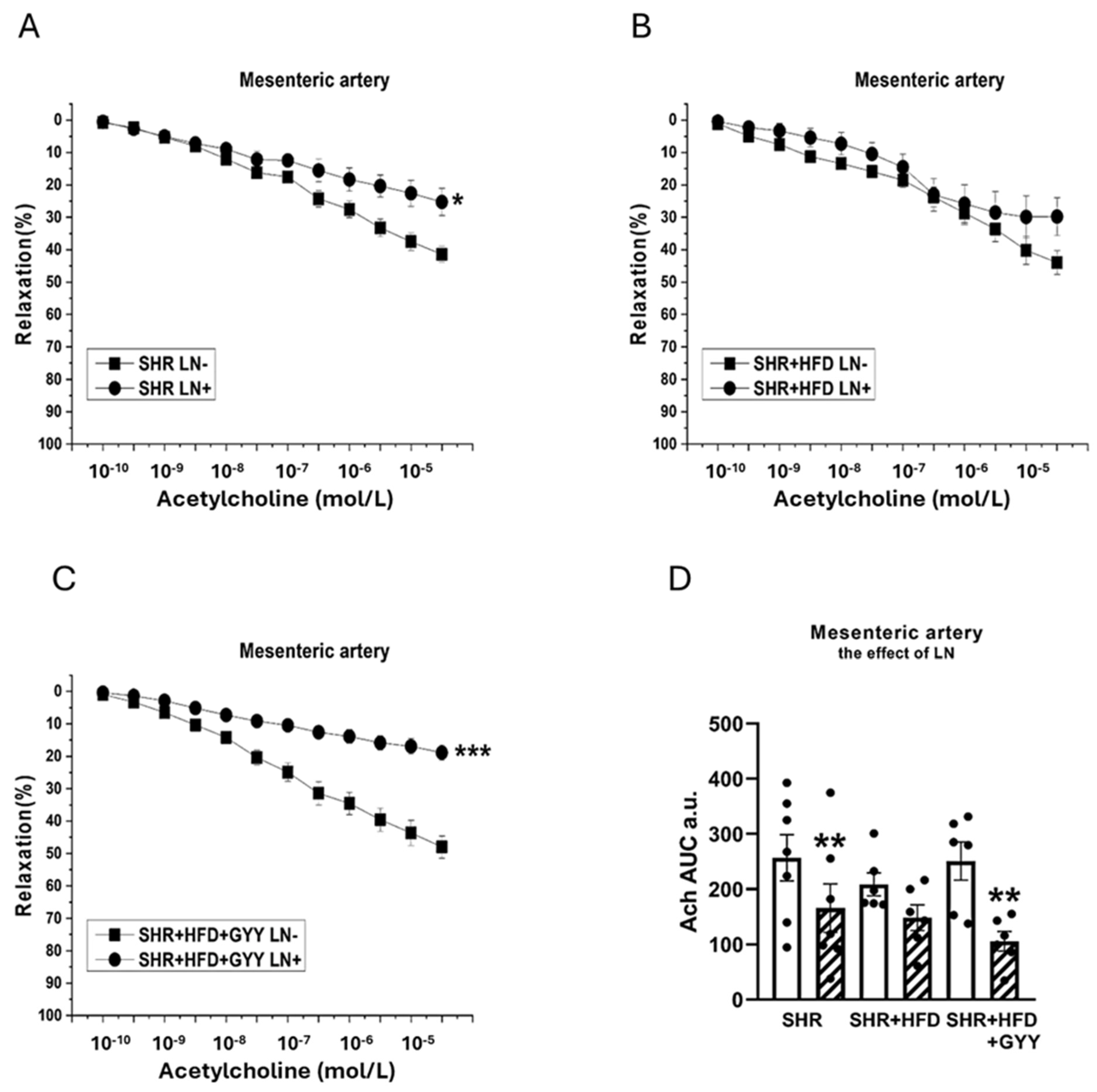 Pathophysiology 32 00027 g006