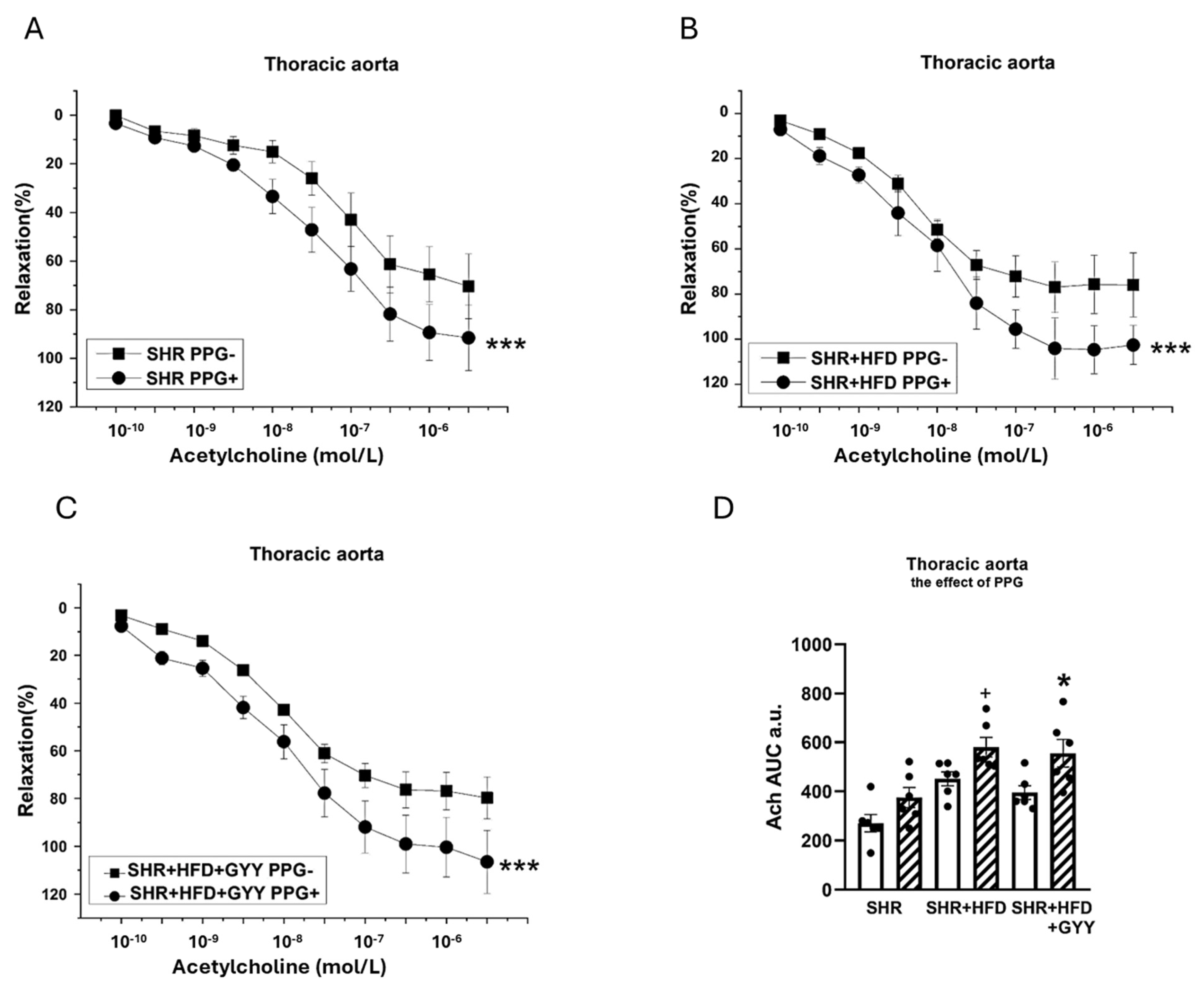 Pathophysiology 32 00027 g008