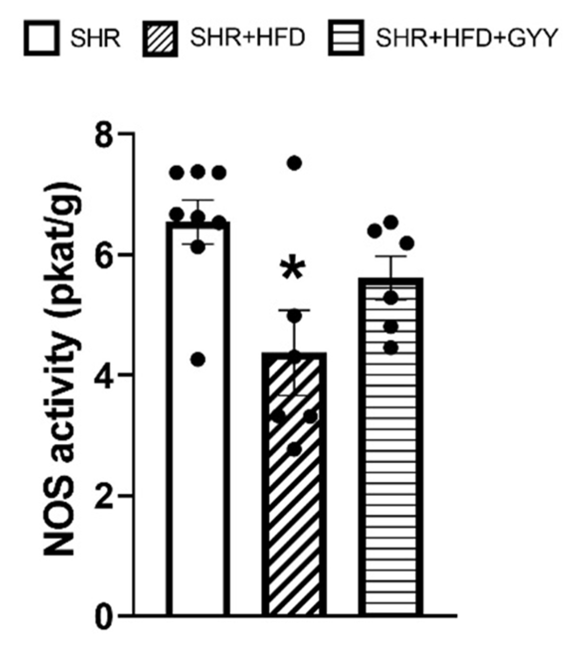 Pathophysiology 32 00027 g011