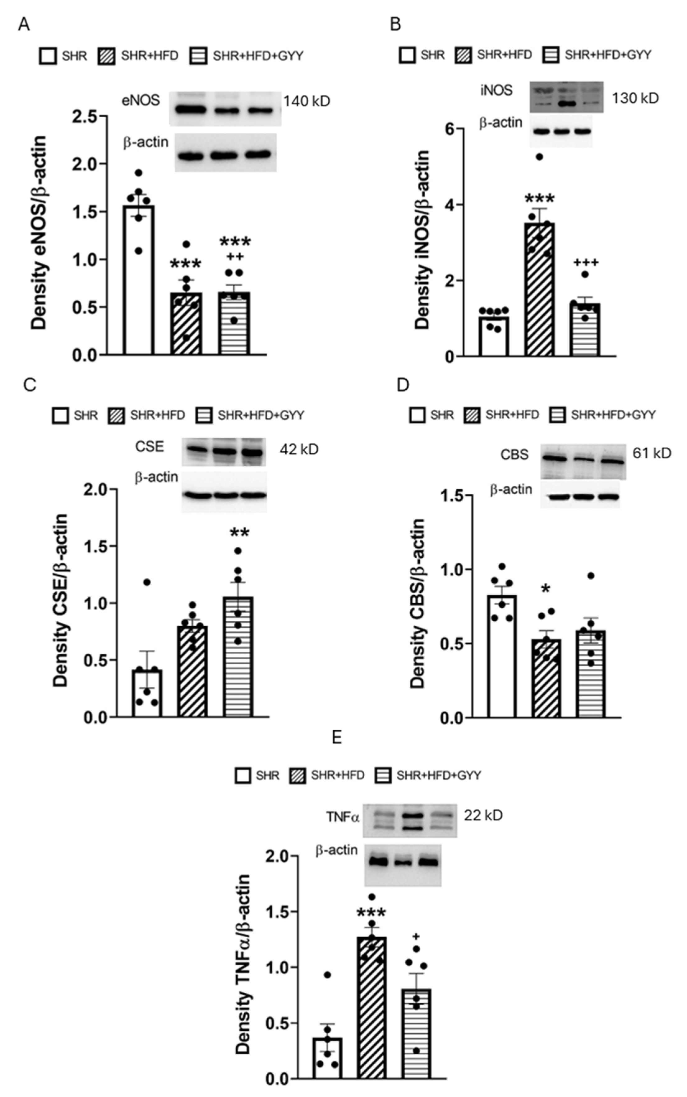 Pathophysiology 32 00027 g012