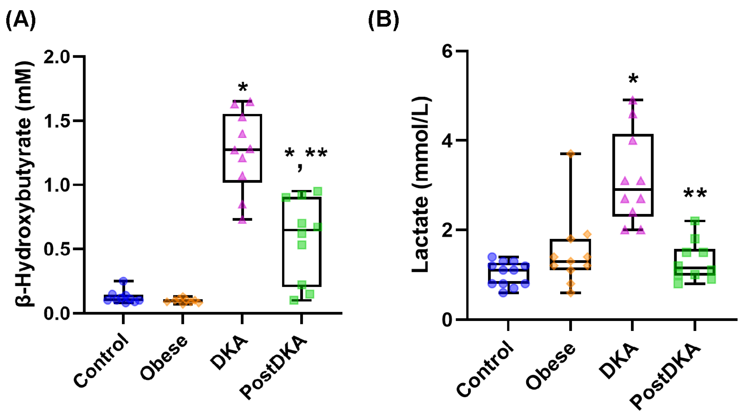 Pathophysiology 32 00029 g001
