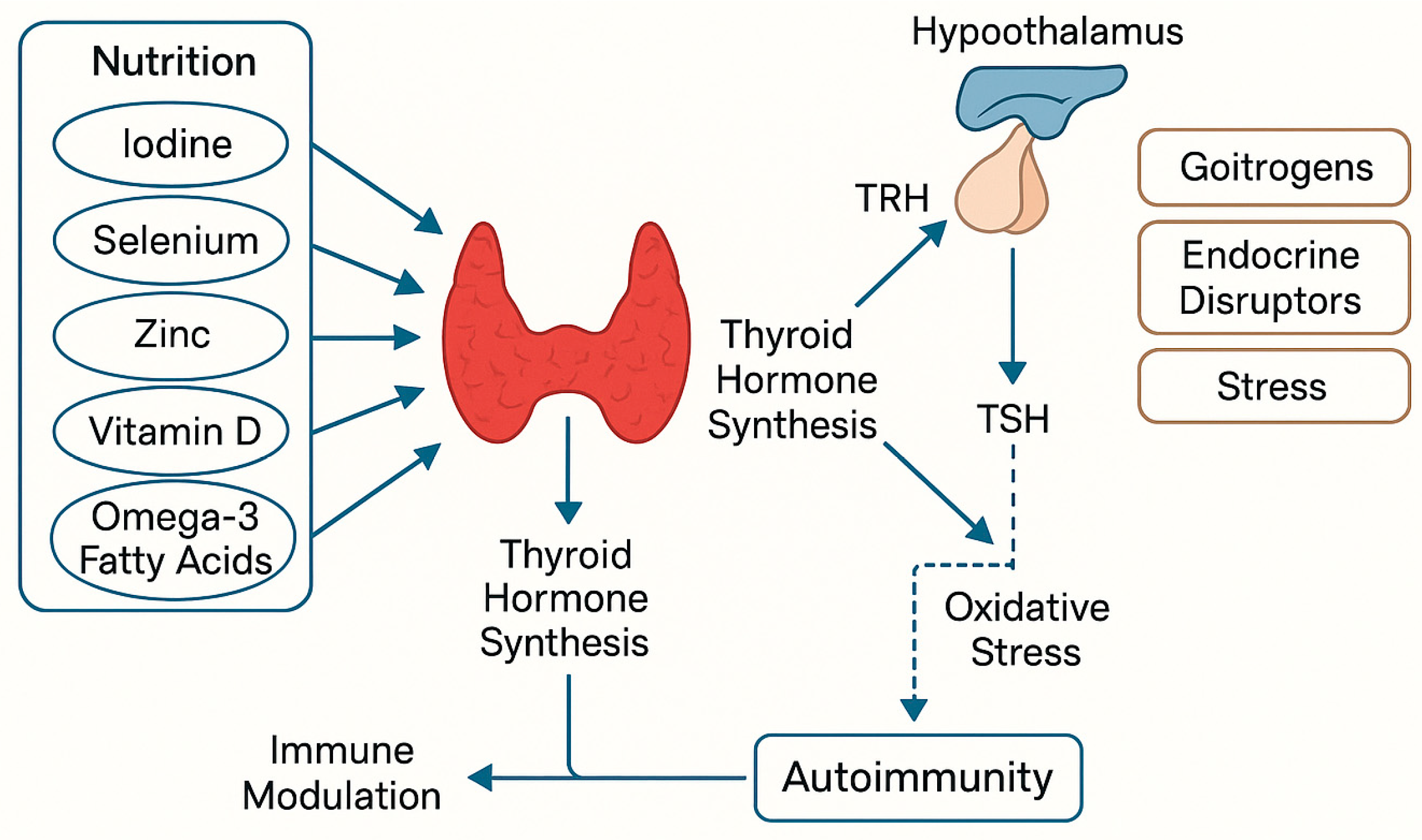 Pathophysiology 32 00037 g003 Pathophysiology 32 00037 g003