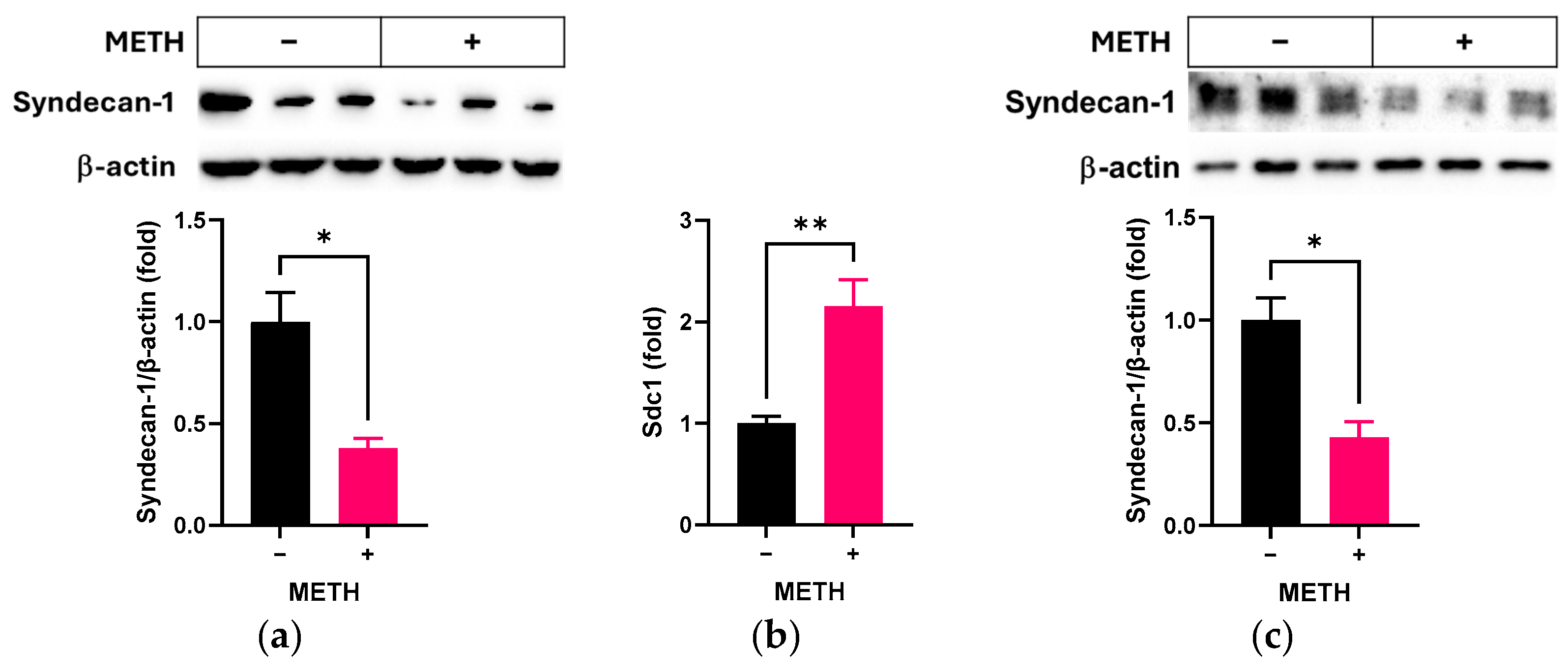 Pathophysiology 32 00041 g001 Pathophysiology 32 00041 g001