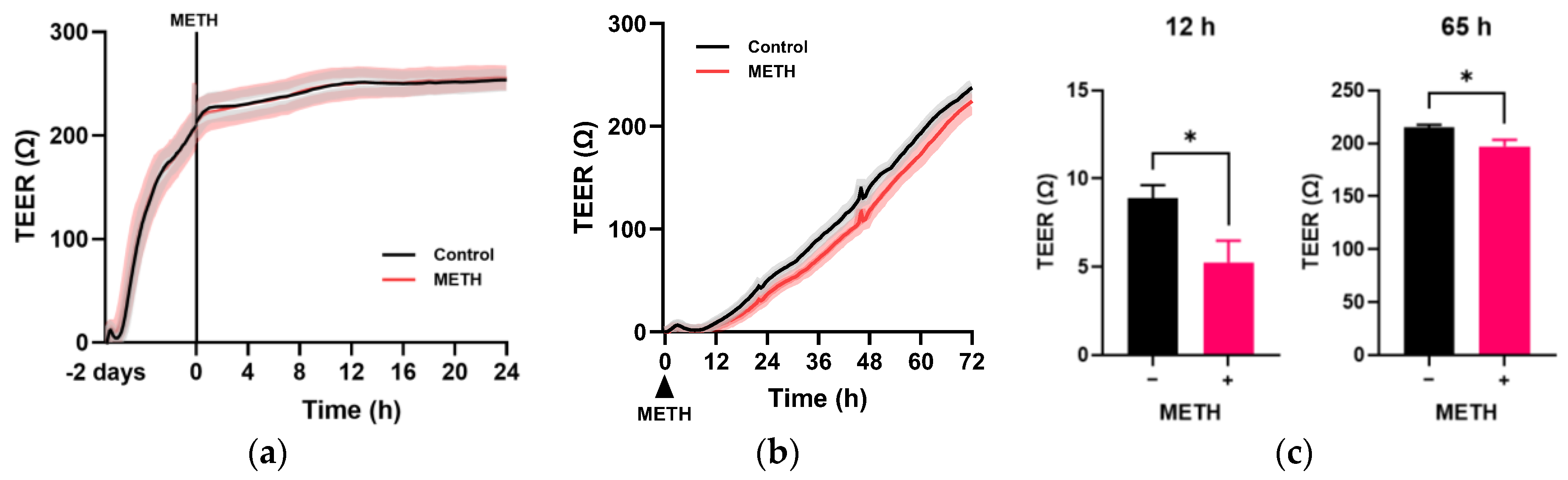 Pathophysiology 32 00041 g003 Pathophysiology 32 00041 g003