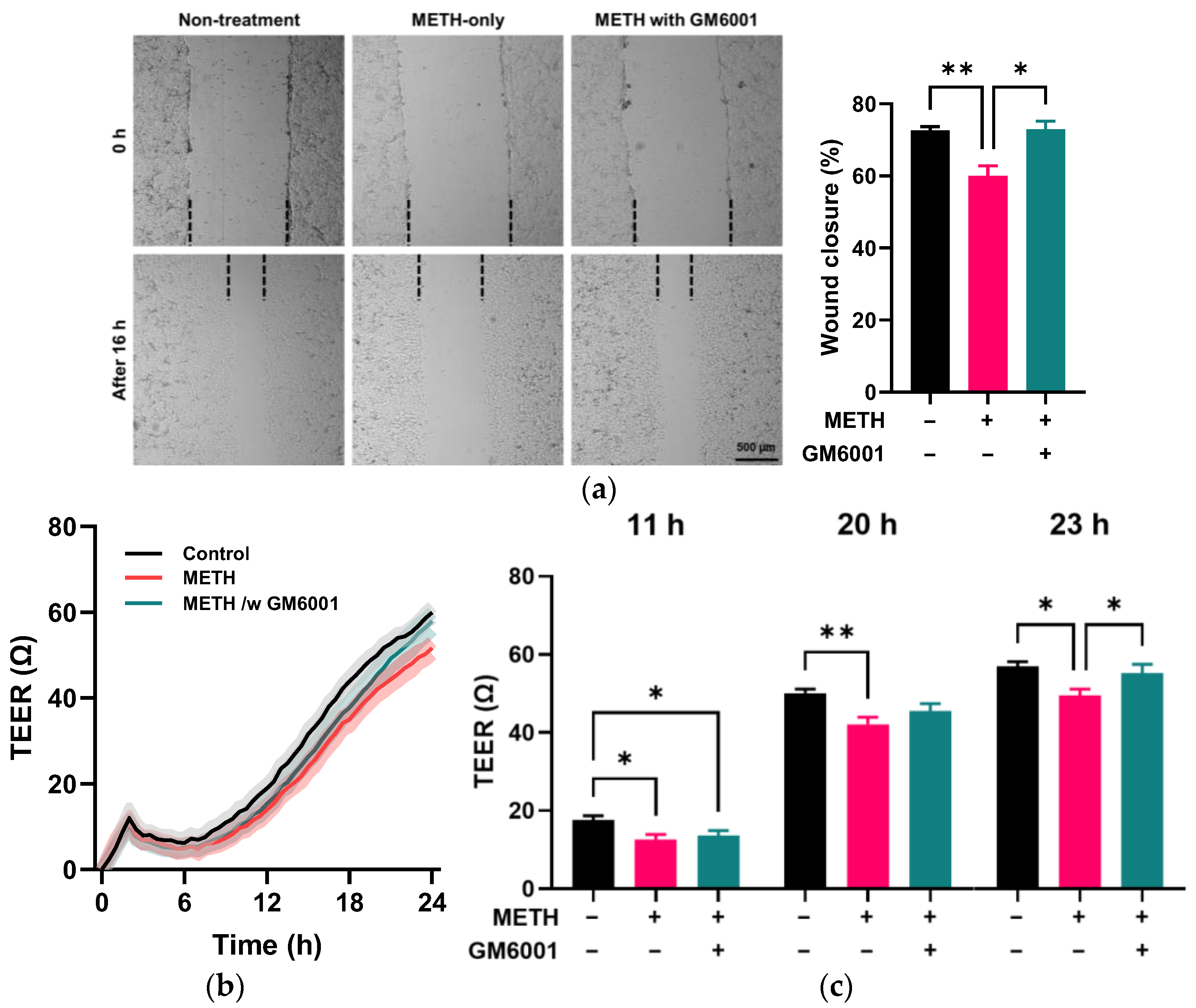 Pathophysiology 32 00041 g006 Pathophysiology 32 00041 g006