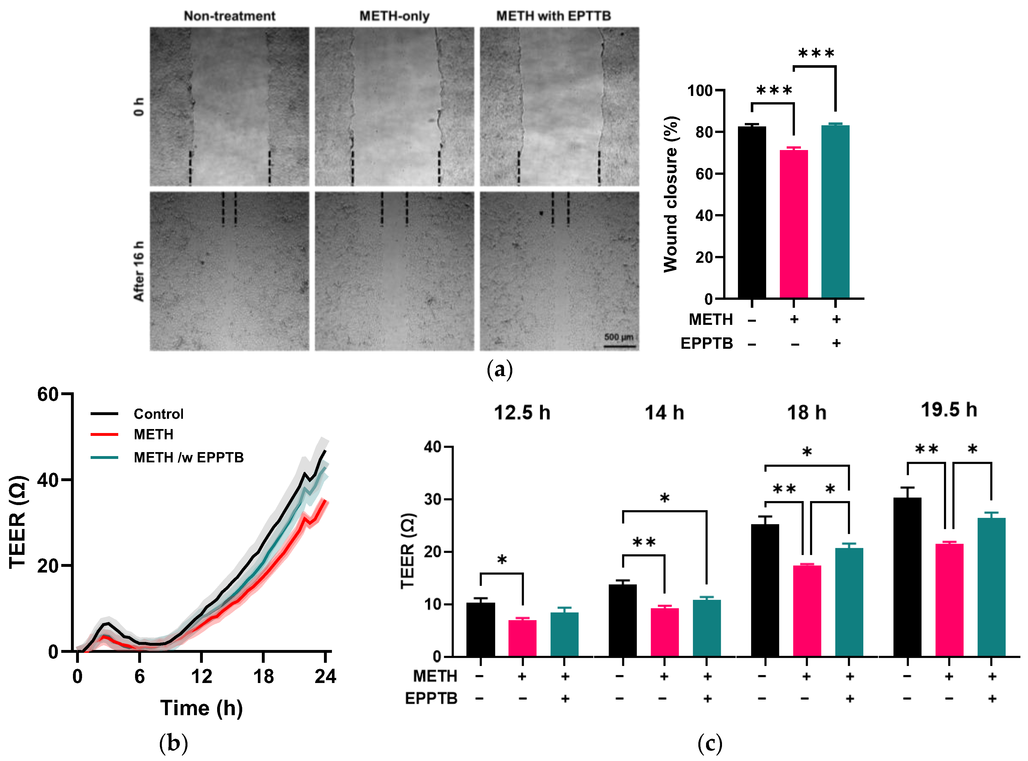 Pathophysiology 32 00041 g008 Pathophysiology 32 00041 g008