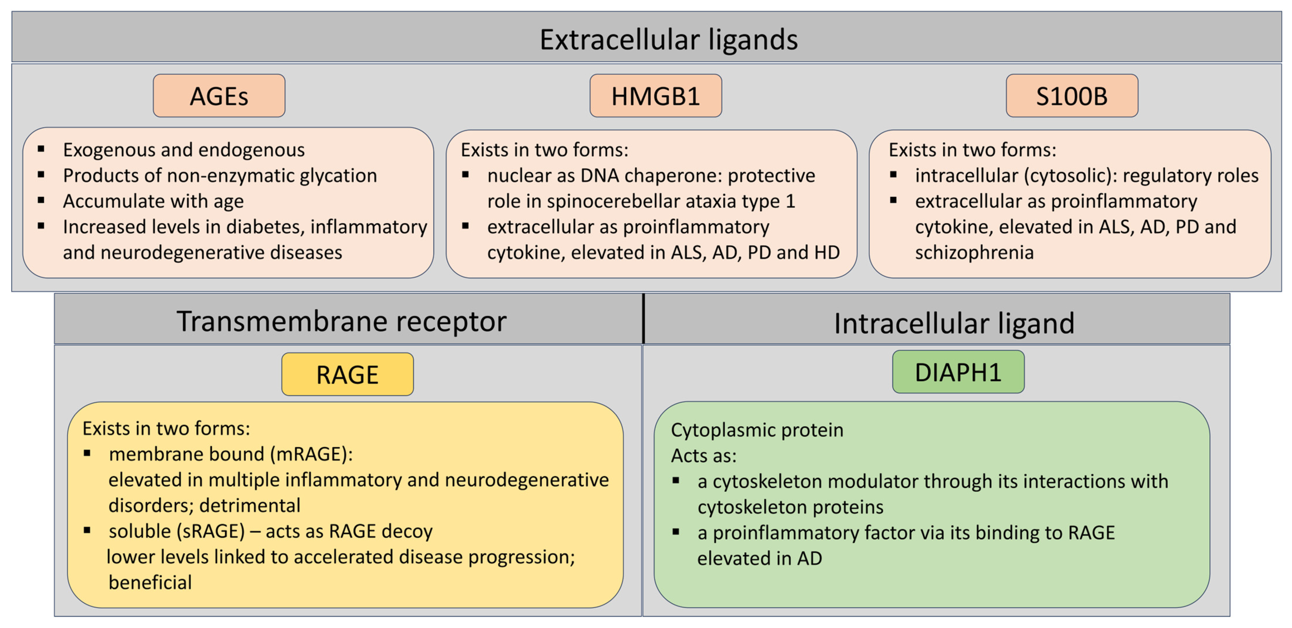 Pathophysiology 32 00043 g002 Pathophysiology 32 00043 g002