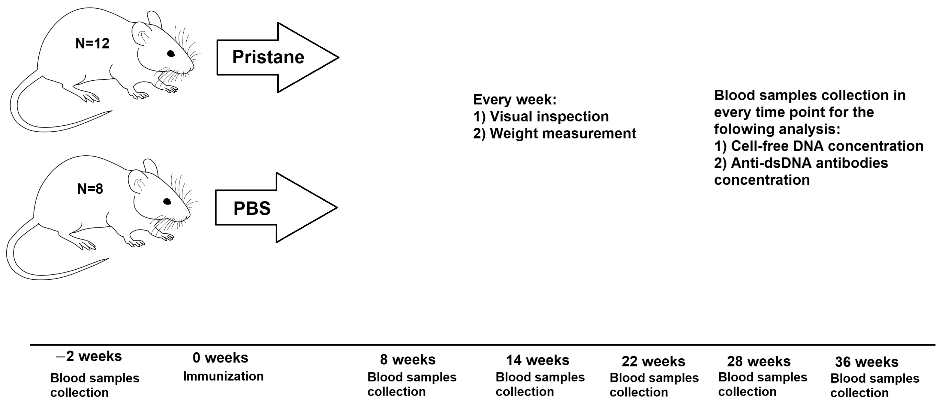 Pathophysiology 32 00048 g001 Pathophysiology 32 00048 g001