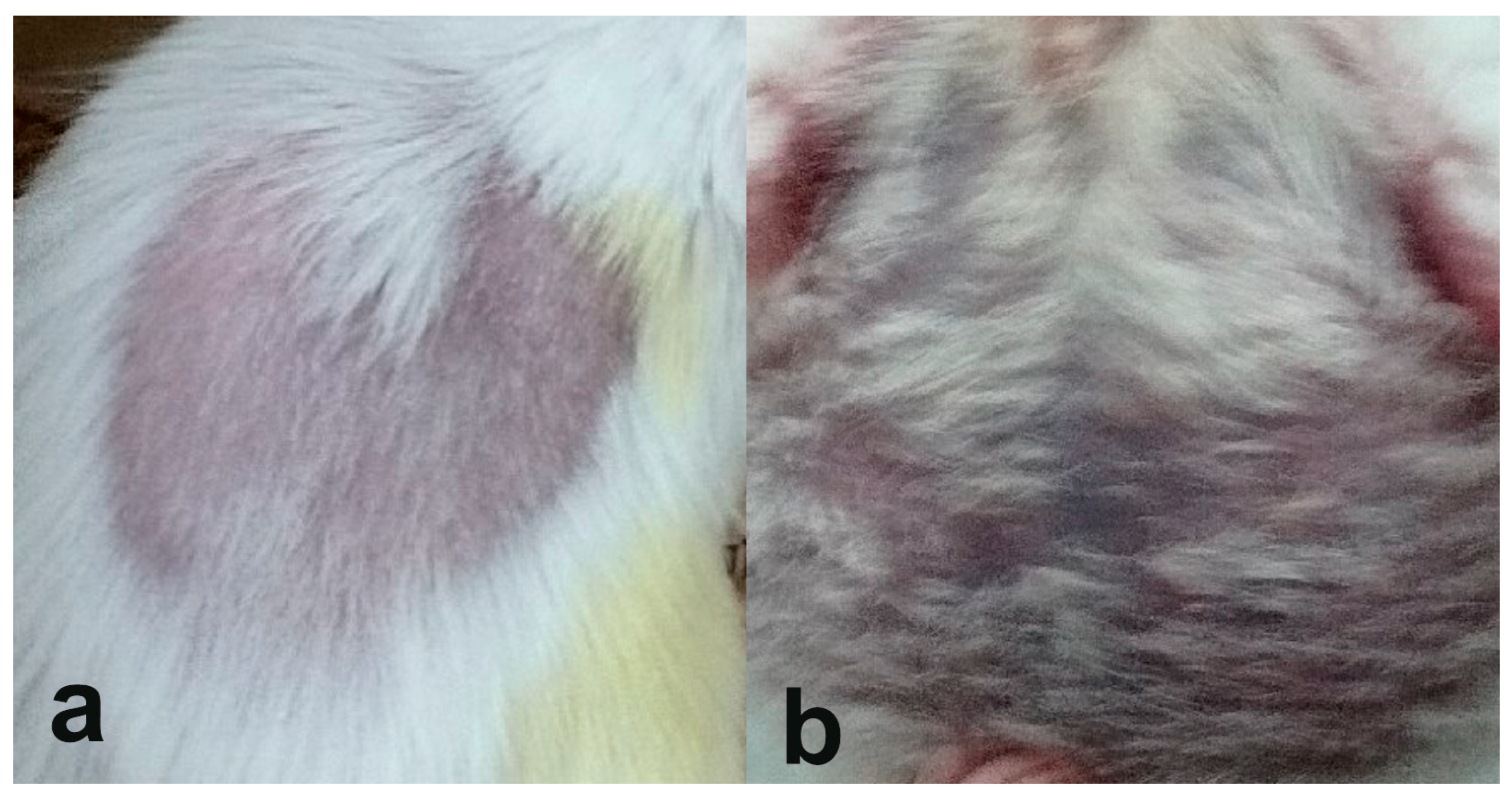 Pathophysiology 32 00048 g002 Pathophysiology 32 00048 g002