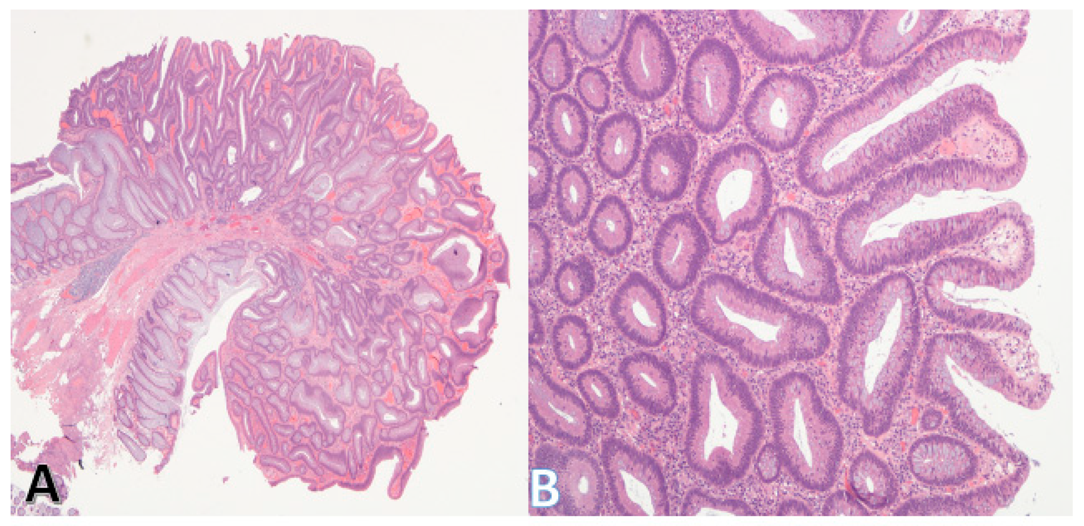 Pathophysiology 32 00052 g004 Pathophysiology 32 00052 g004