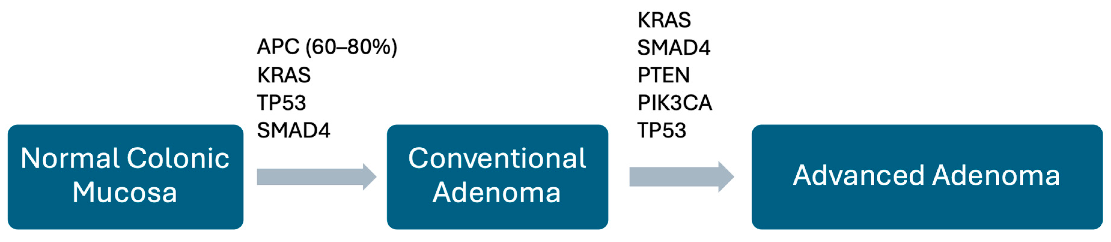 Pathophysiology 32 00052 g005 Pathophysiology 32 00052 g005