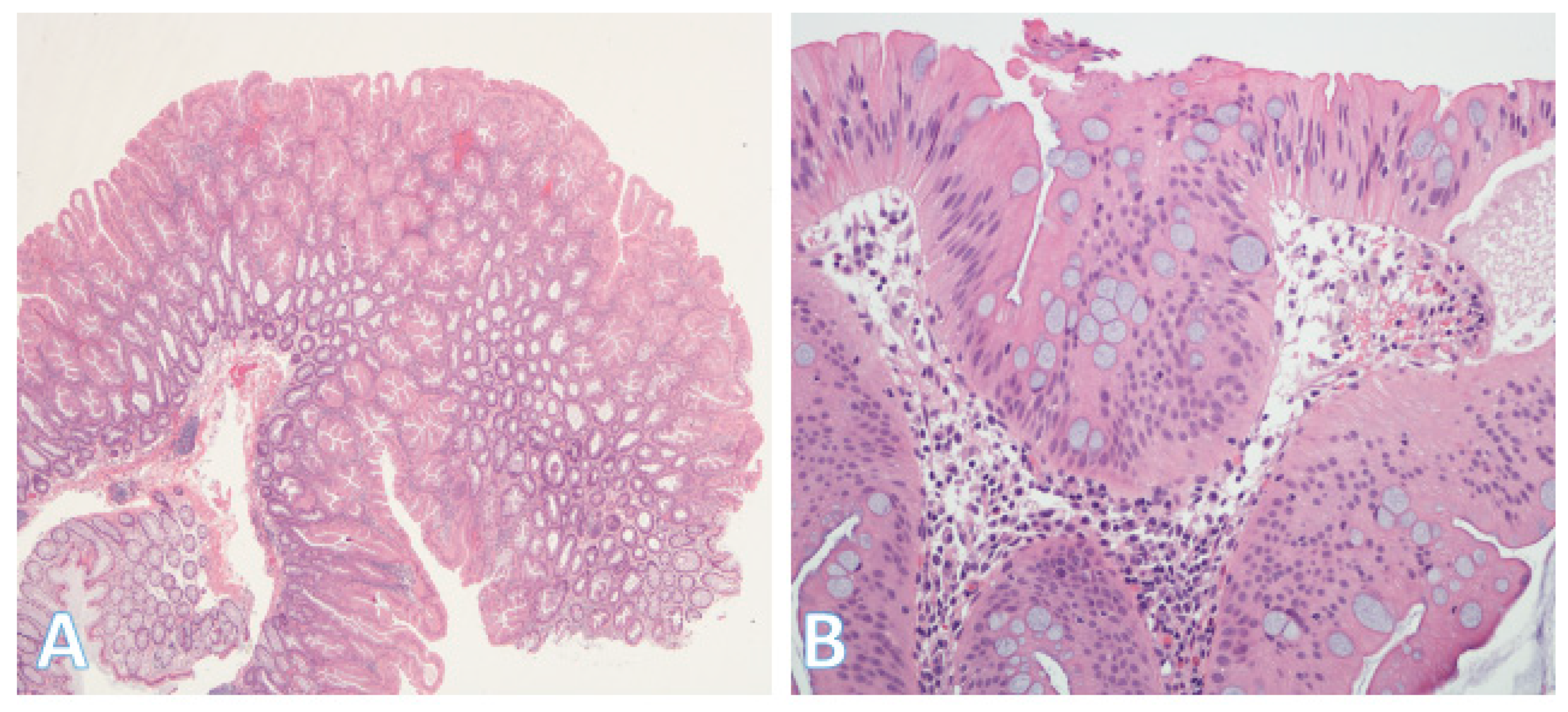 Pathophysiology 32 00052 g008 Pathophysiology 32 00052 g008