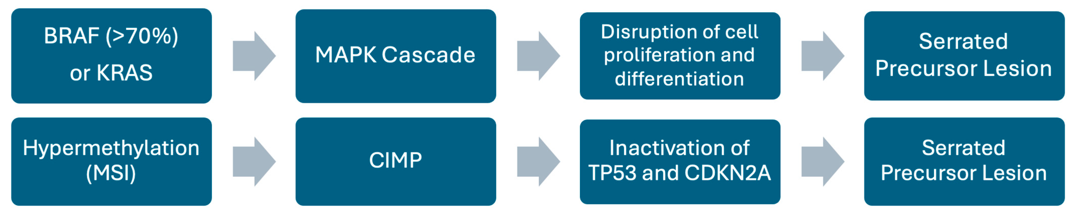 Pathophysiology 32 00052 g009 Pathophysiology 32 00052 g009