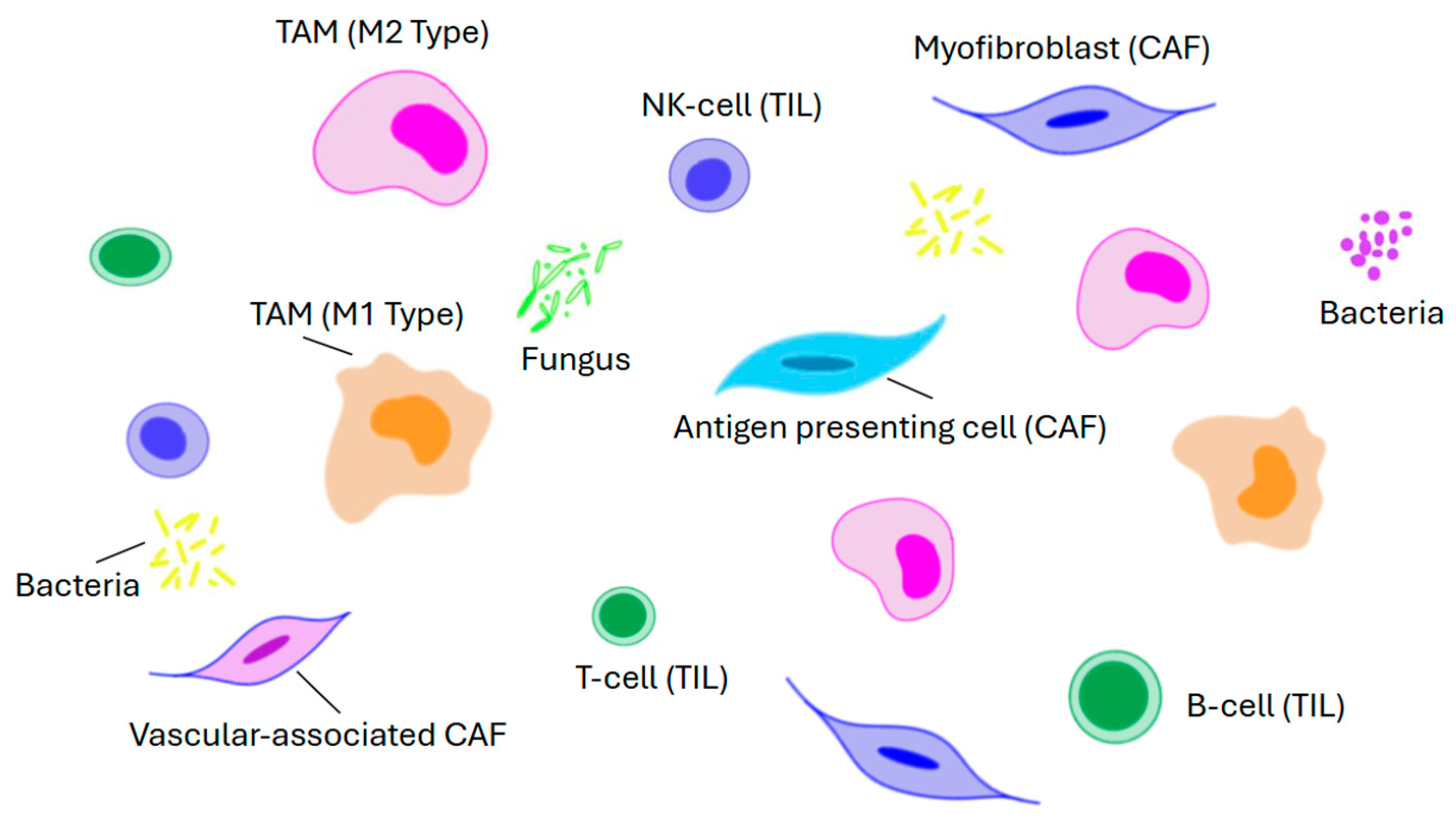 Pathophysiology 32 00052 g014 Pathophysiology 32 00052 g014