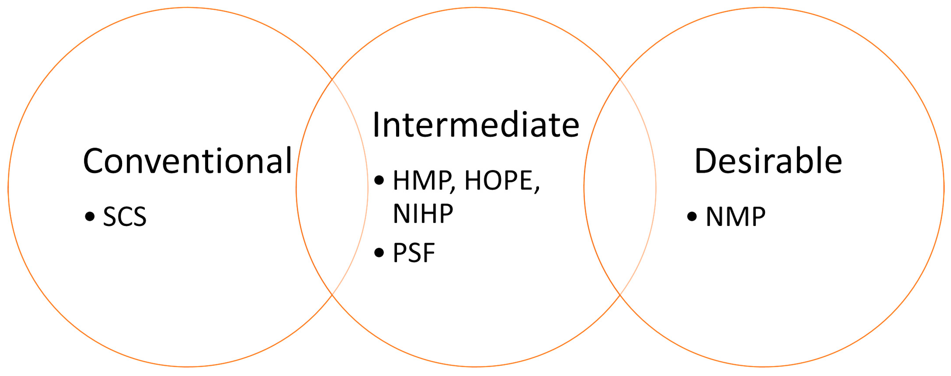 Pathophysiology 32 00058 g001