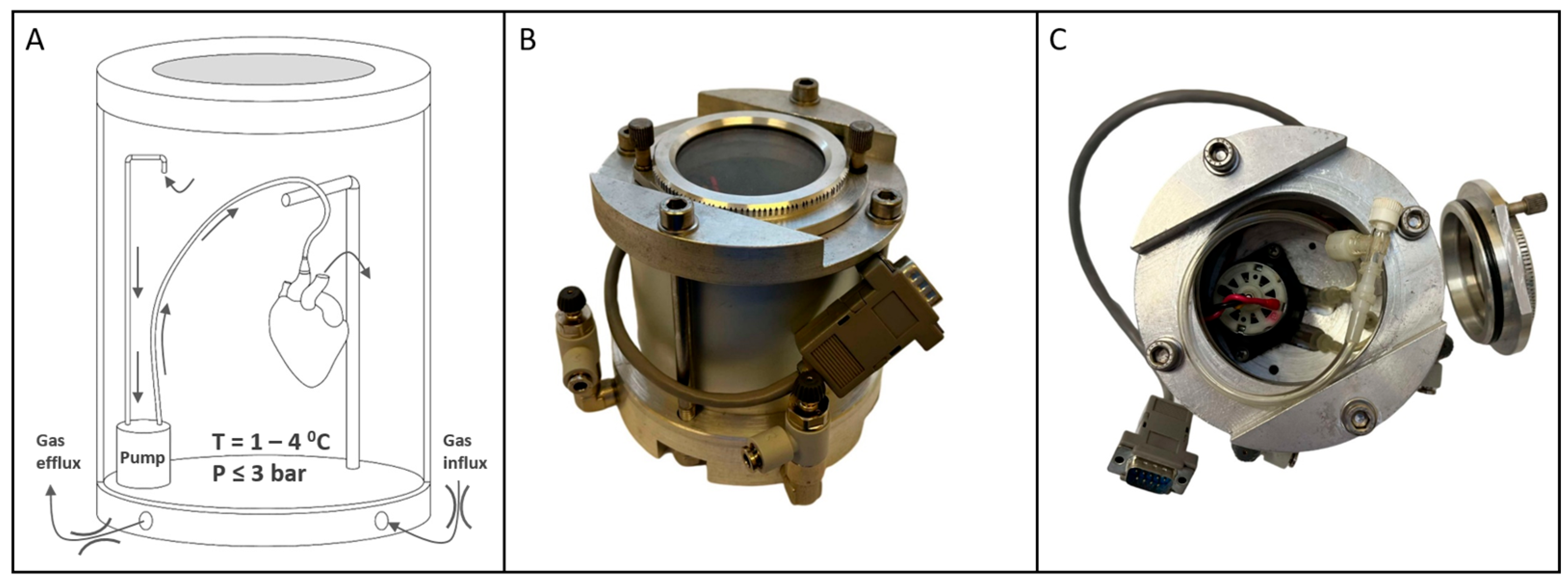 Pathophysiology 32 00058 g003