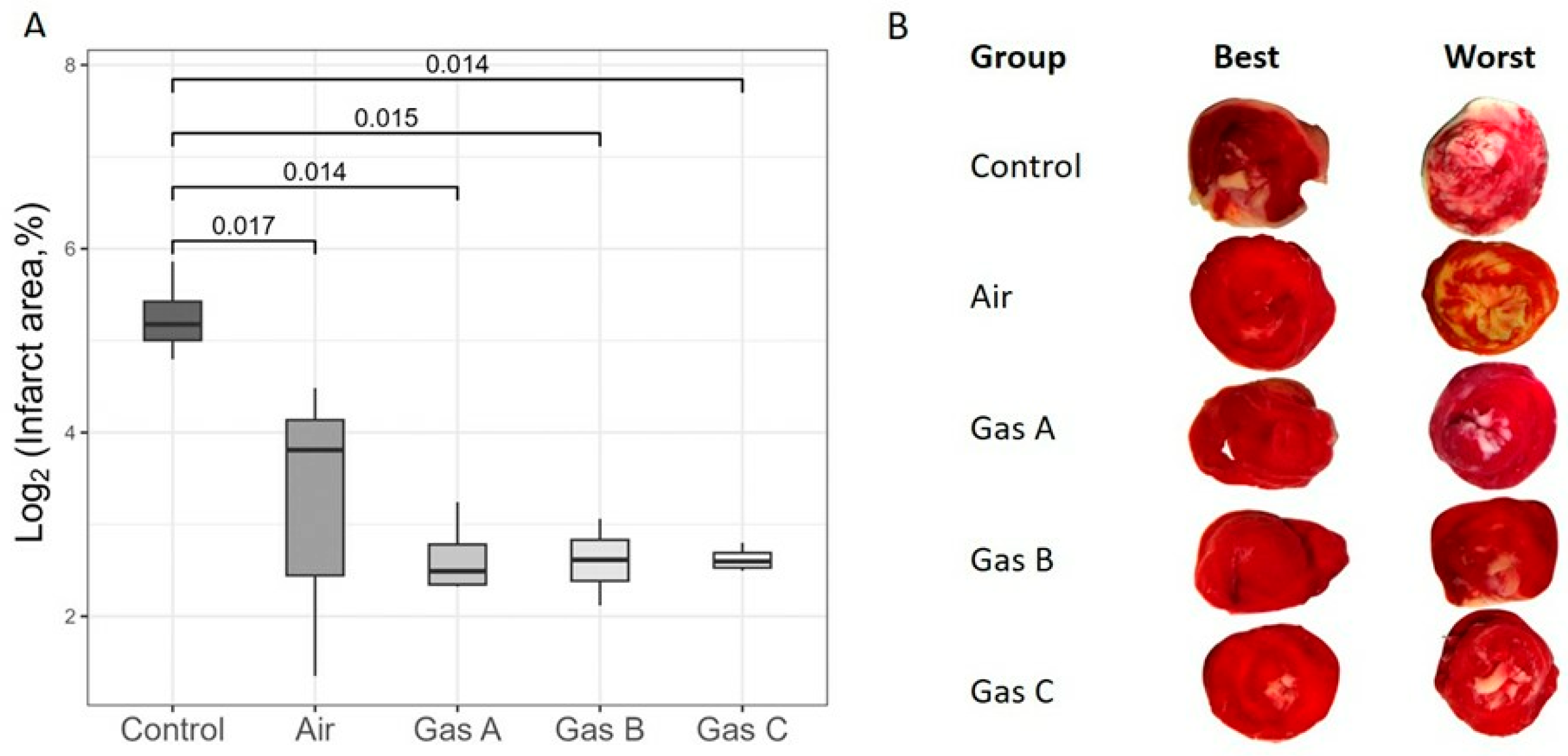 Pathophysiology 32 00058 g007