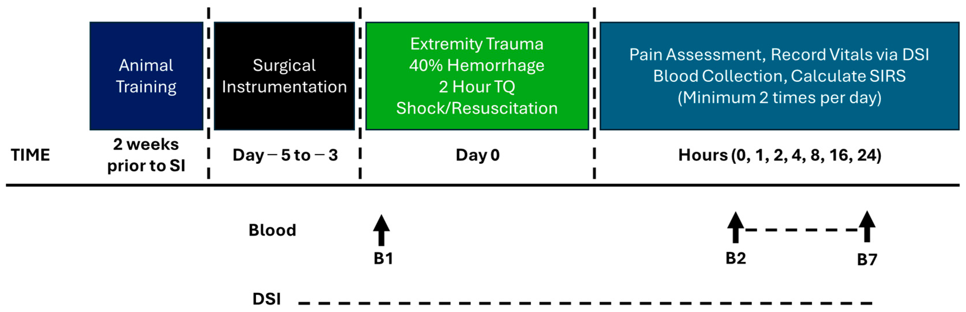 Pathophysiology 32 00059 g001