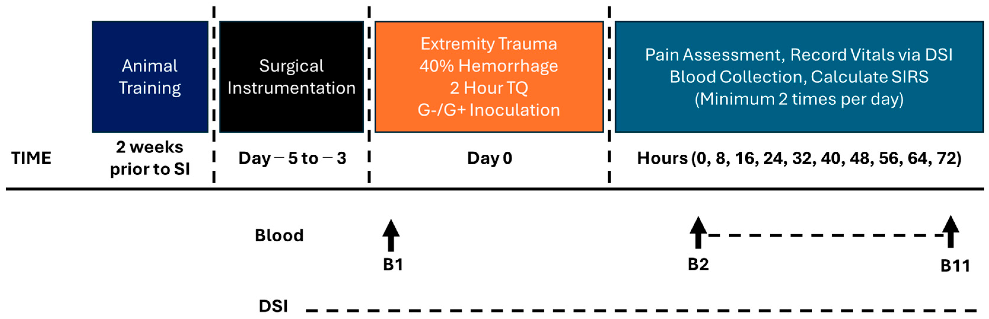 Pathophysiology 32 00059 g002