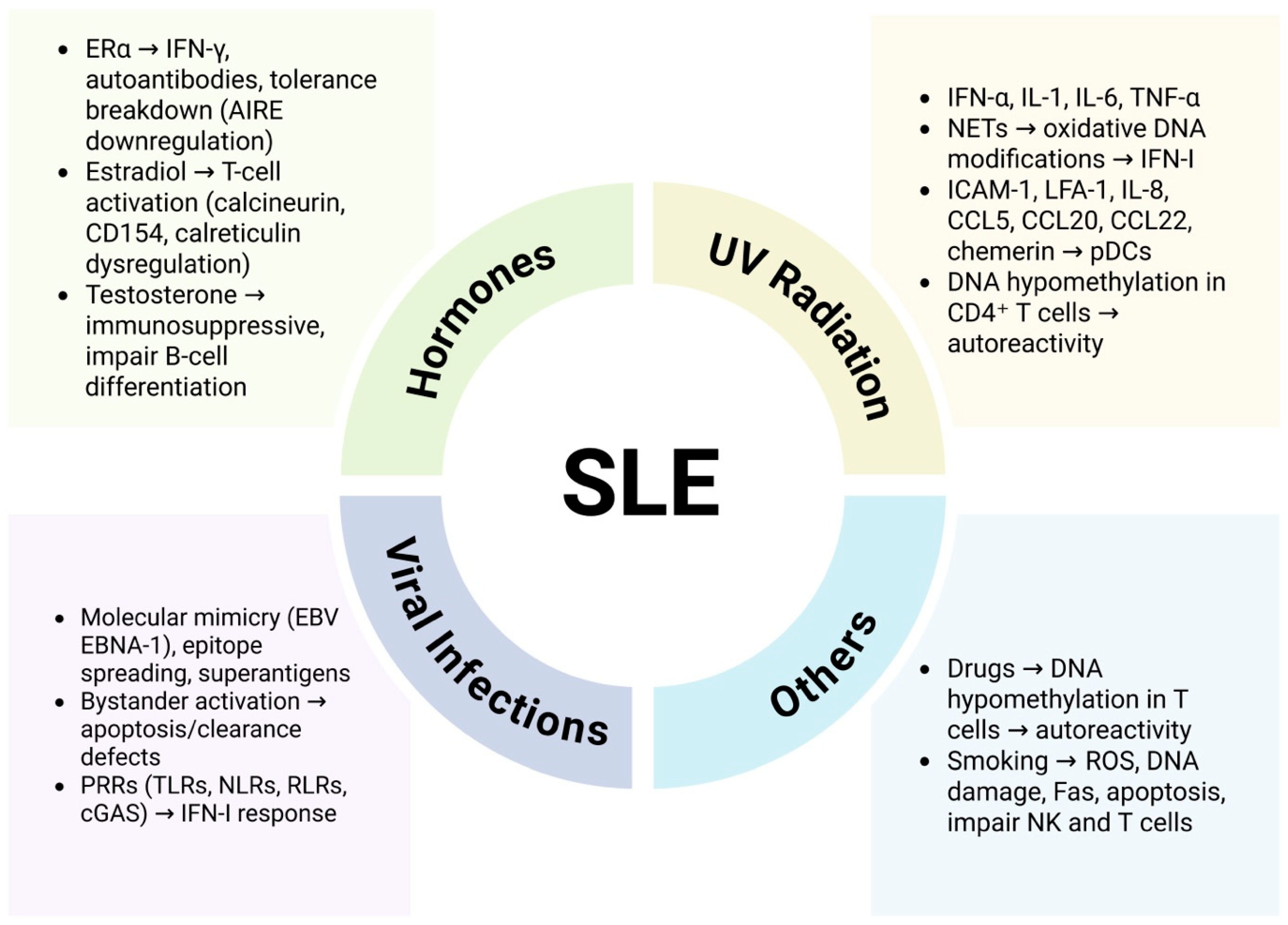 Pathophysiology 32 00061 g001 Pathophysiology 32 00061 g001