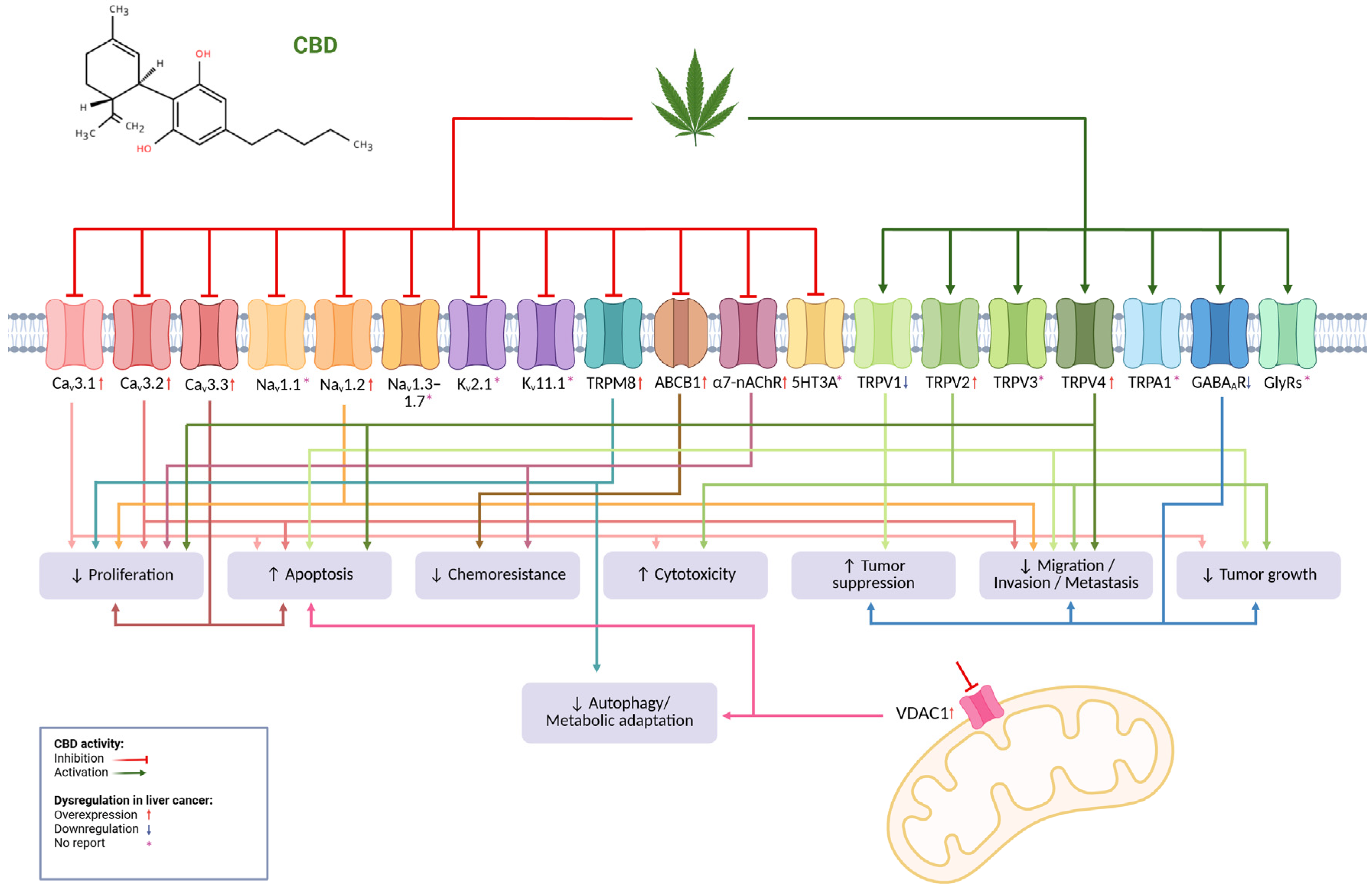 Pathophysiology 33 00008 g001 Pathophysiology 33 00008 g001