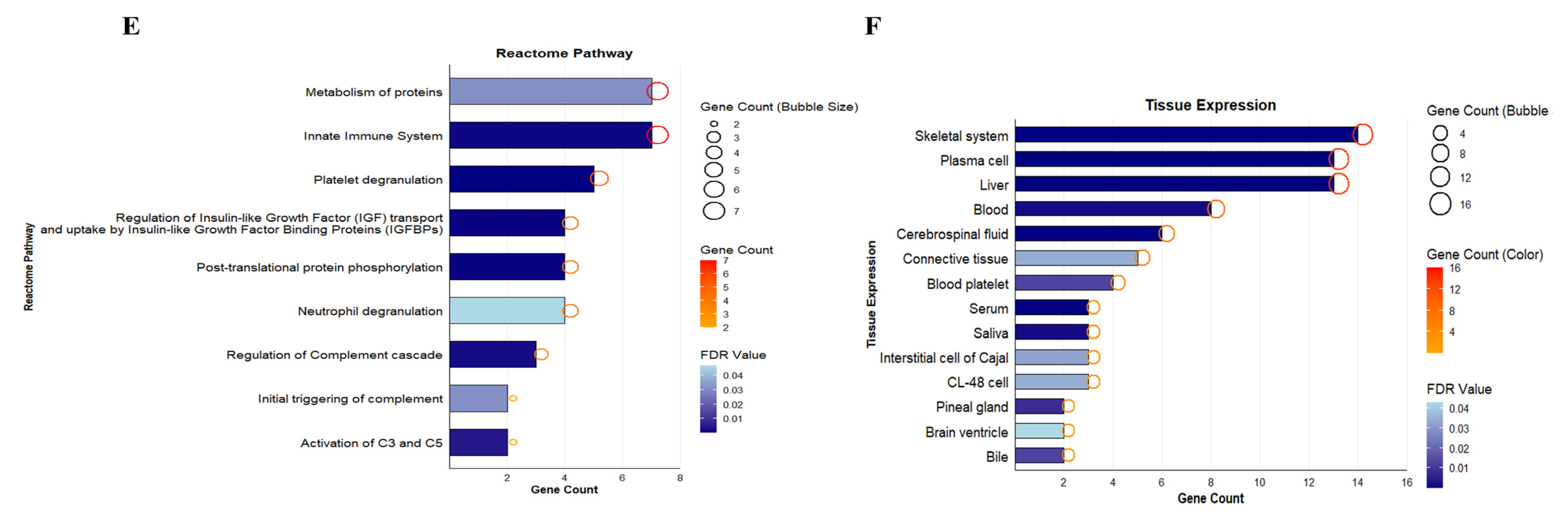 Pathophysiology 33 00016 g002b