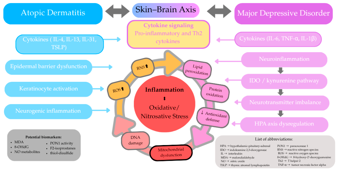 Pathophysiology 33 00039 g001 Pathophysiology 33 00039 g001