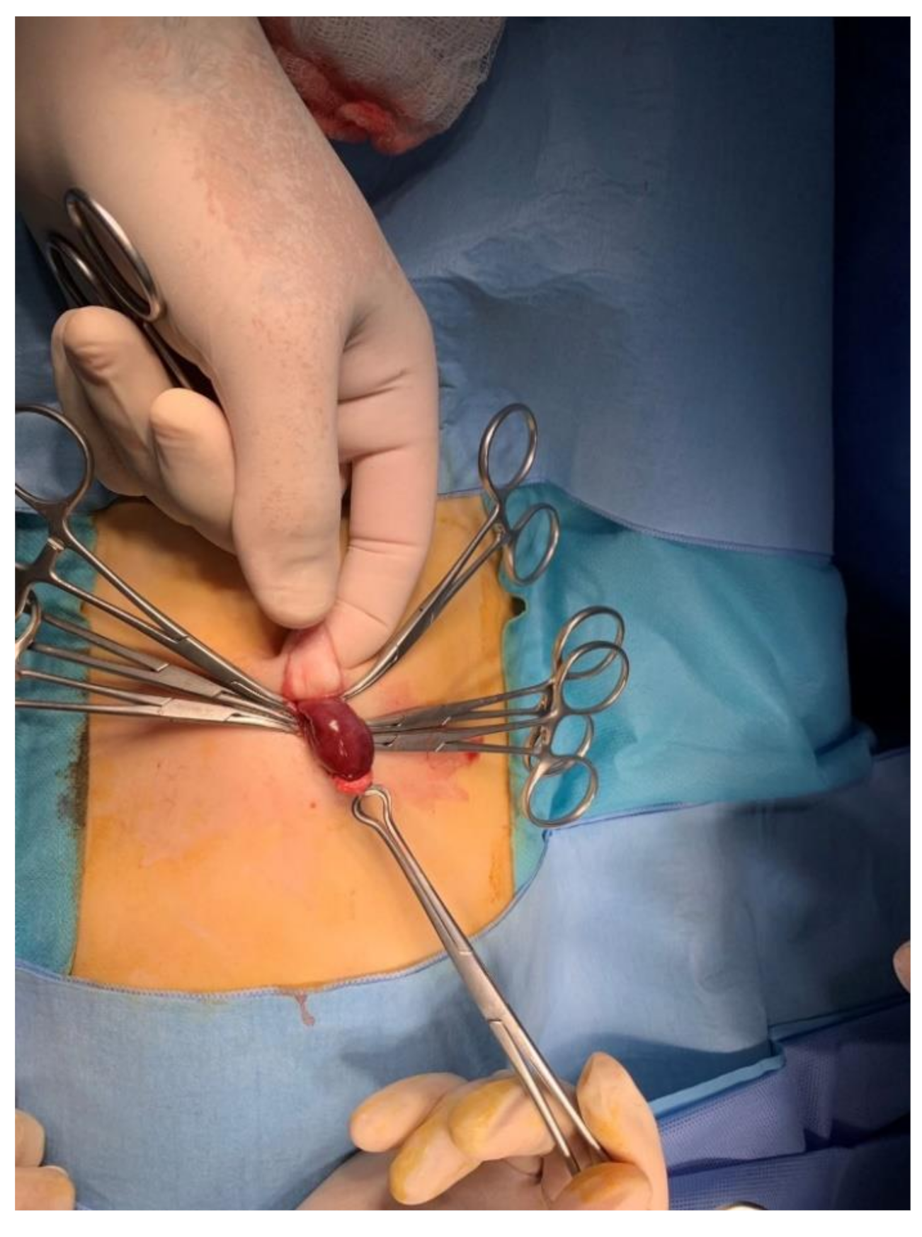 Pediatrrep 12 00017 g002