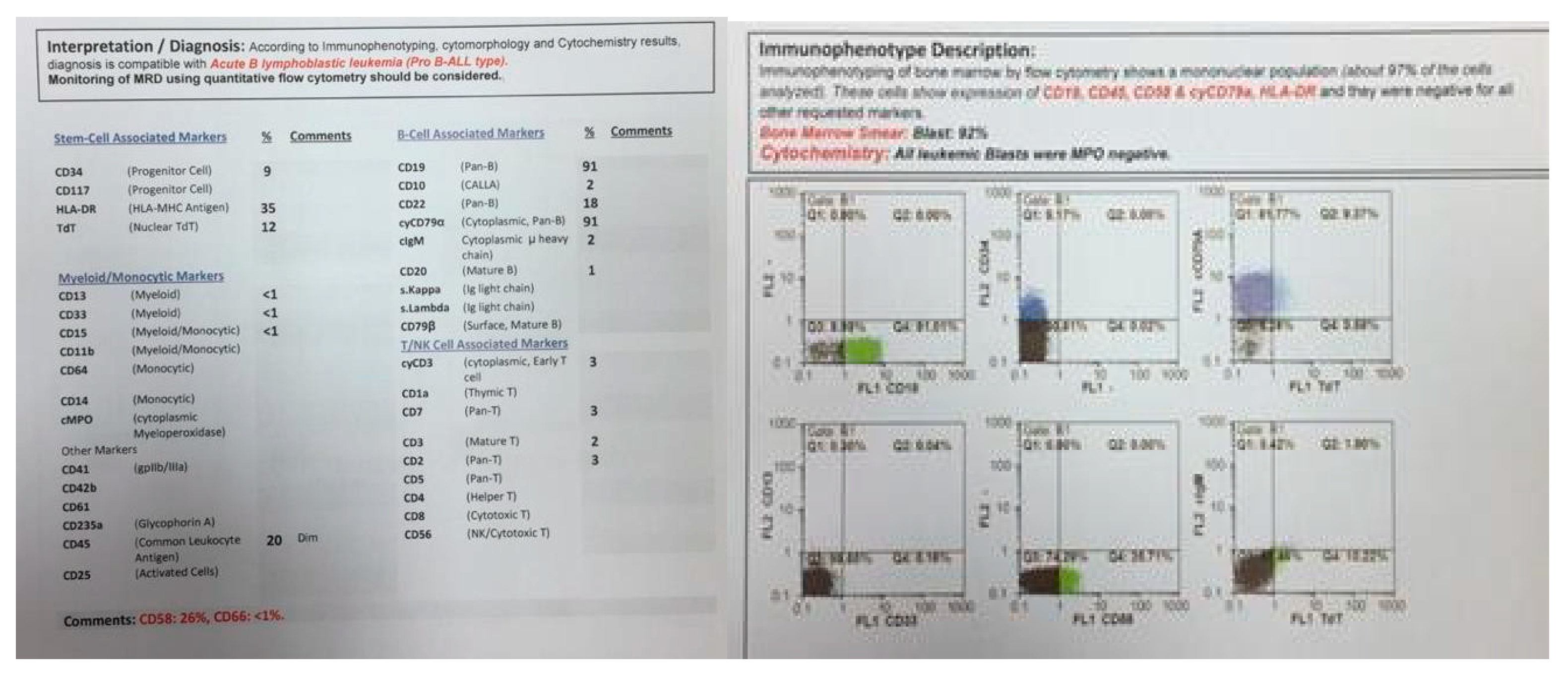 Pediatrrep 13 00002 g001