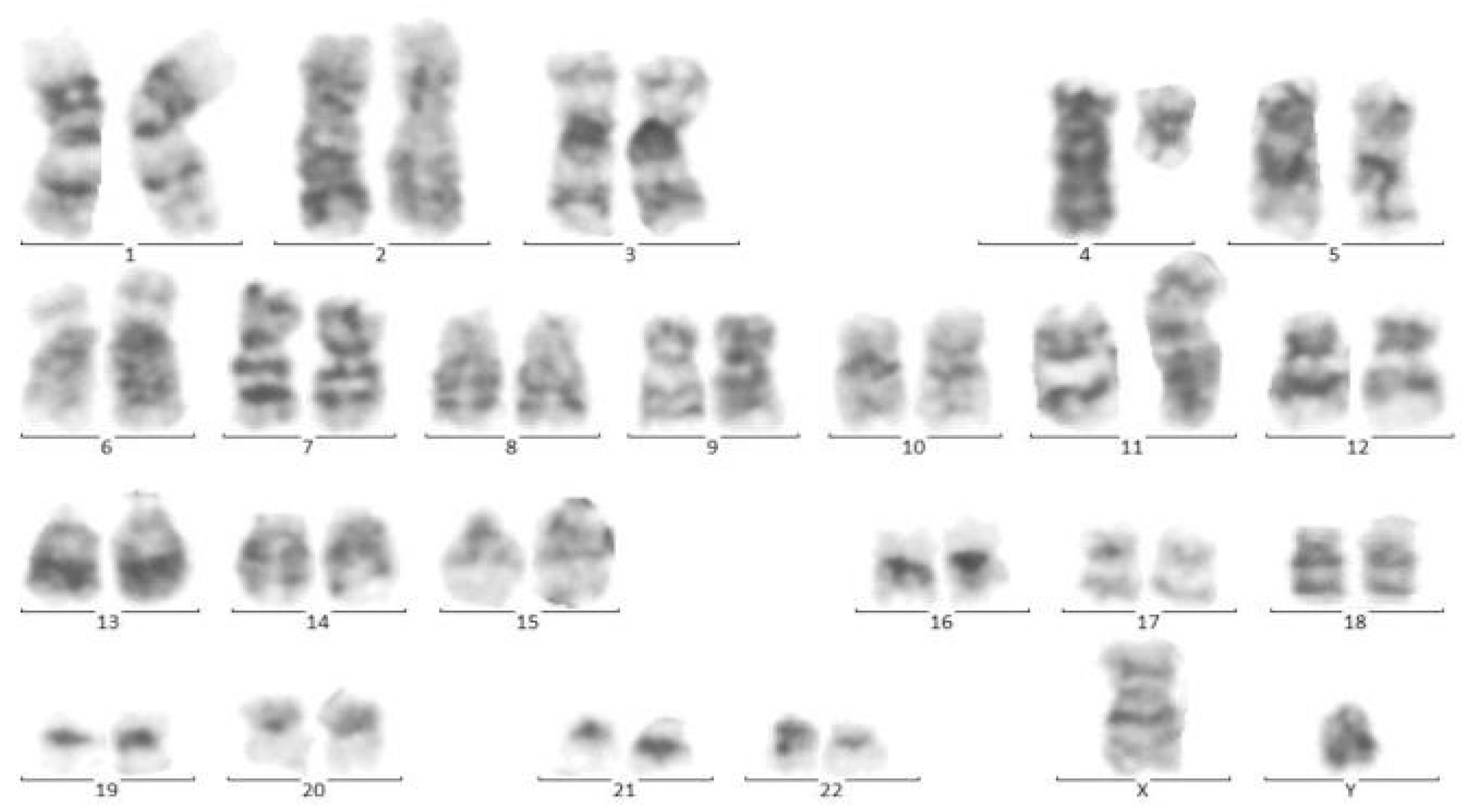 Pediatrrep 13 00002 g004