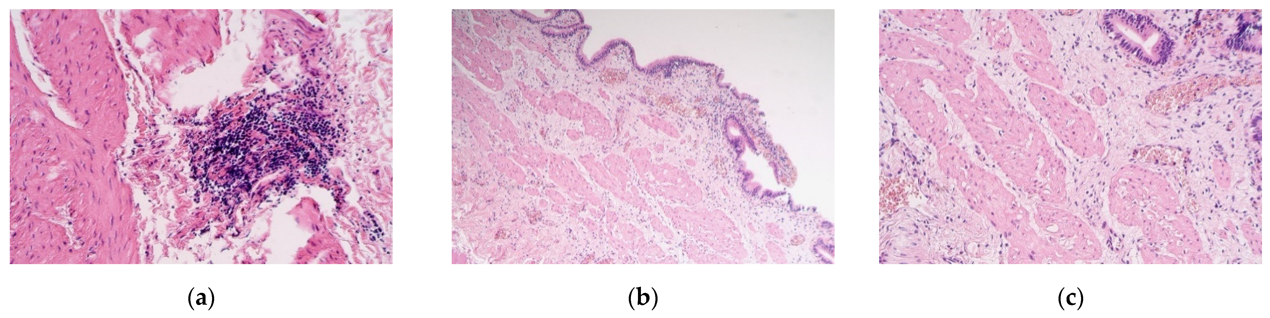 Pediatrrep 13 00054 g001