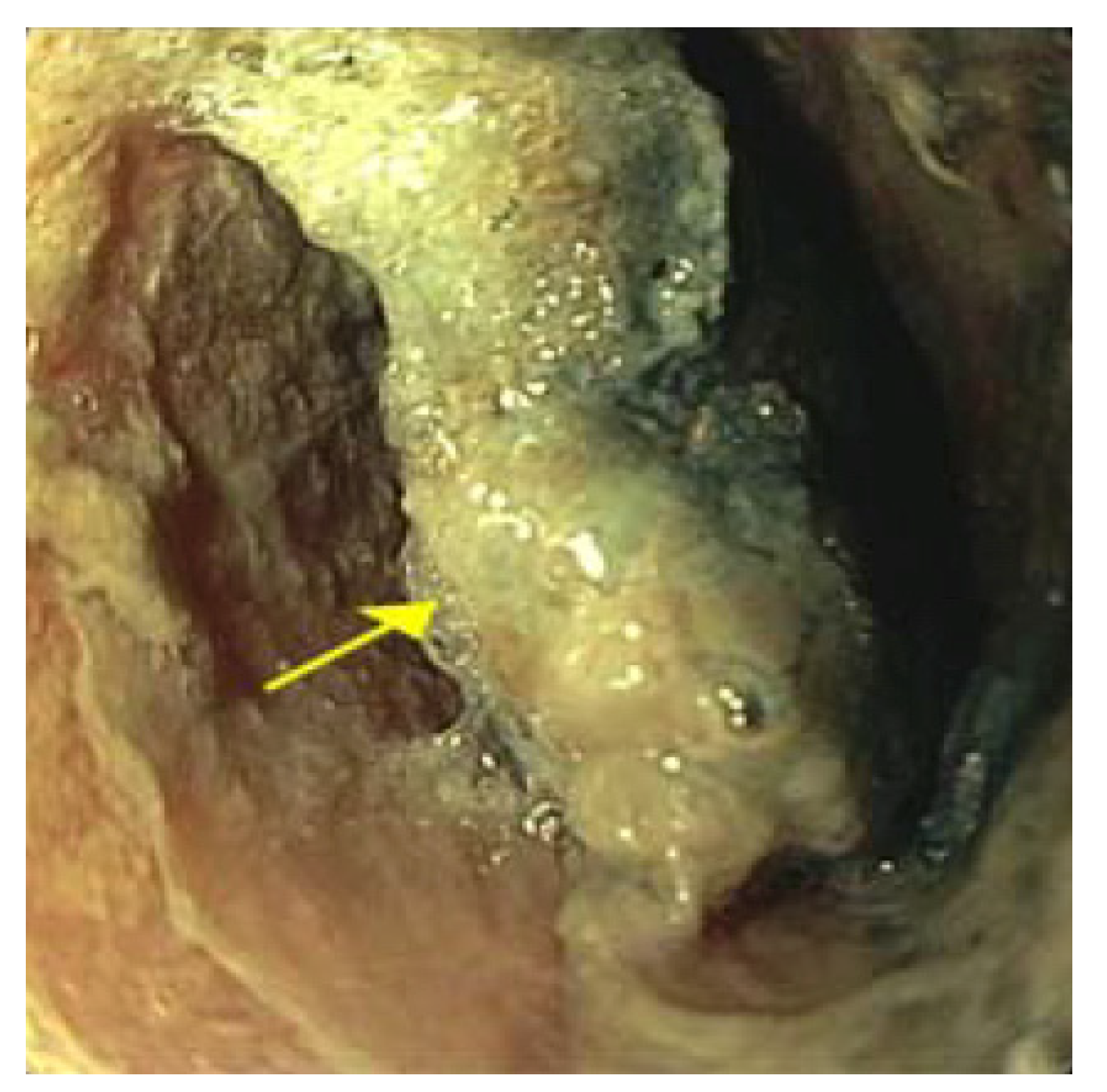 Pediatrrep 13 00059 g002