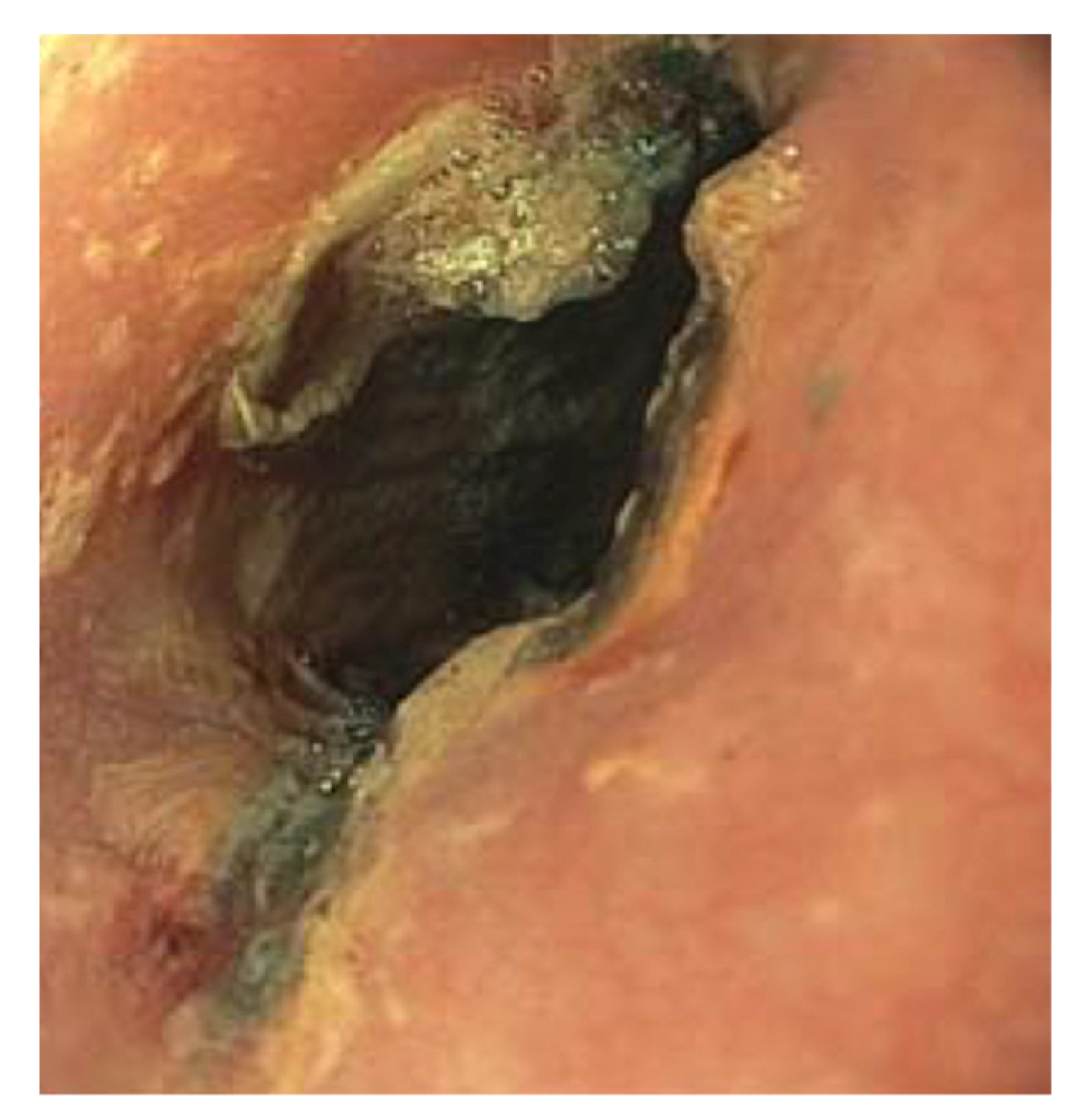 Pediatrrep 13 00059 g003