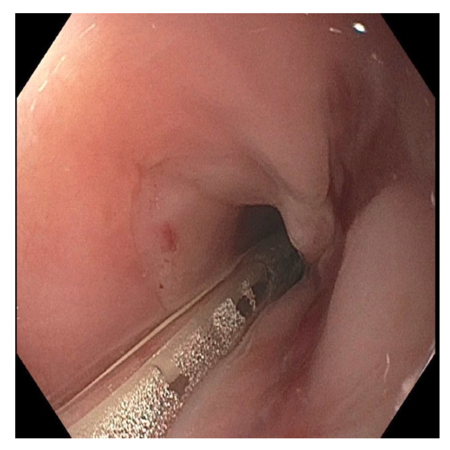 Pediatrrep 13 00059 g006