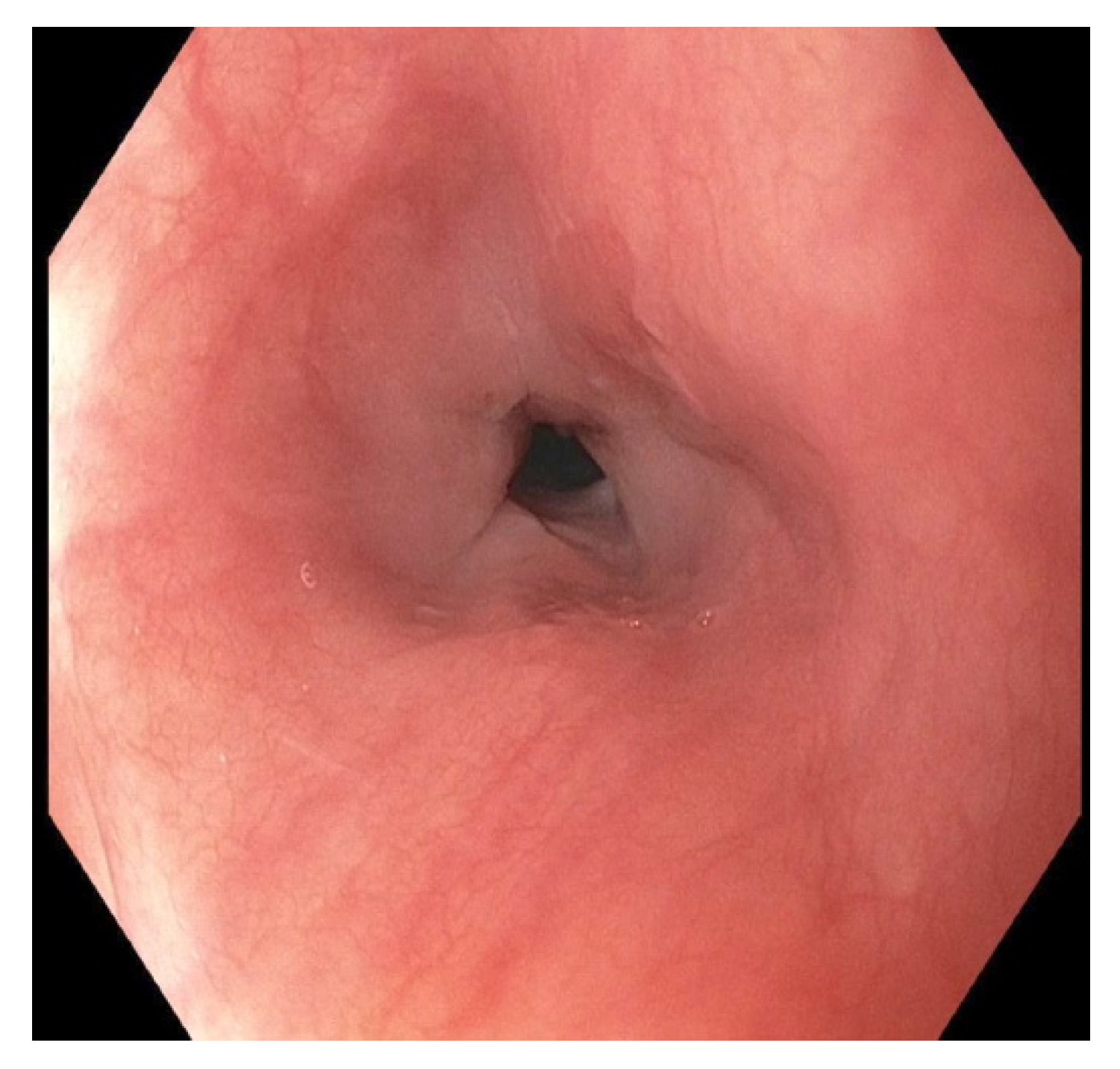 Pediatrrep 13 00059 g008