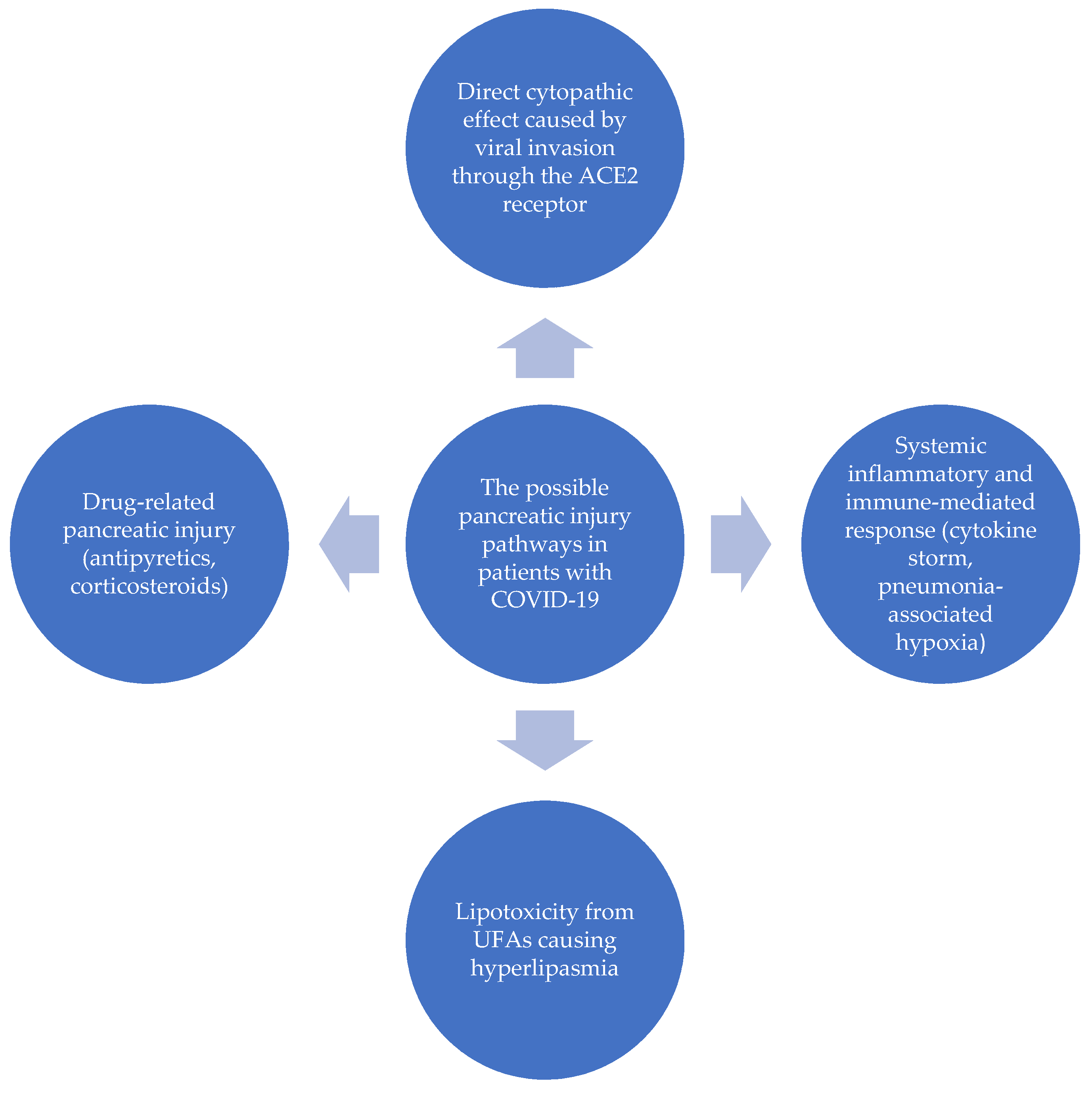 Pediatrrep 13 00065 g001