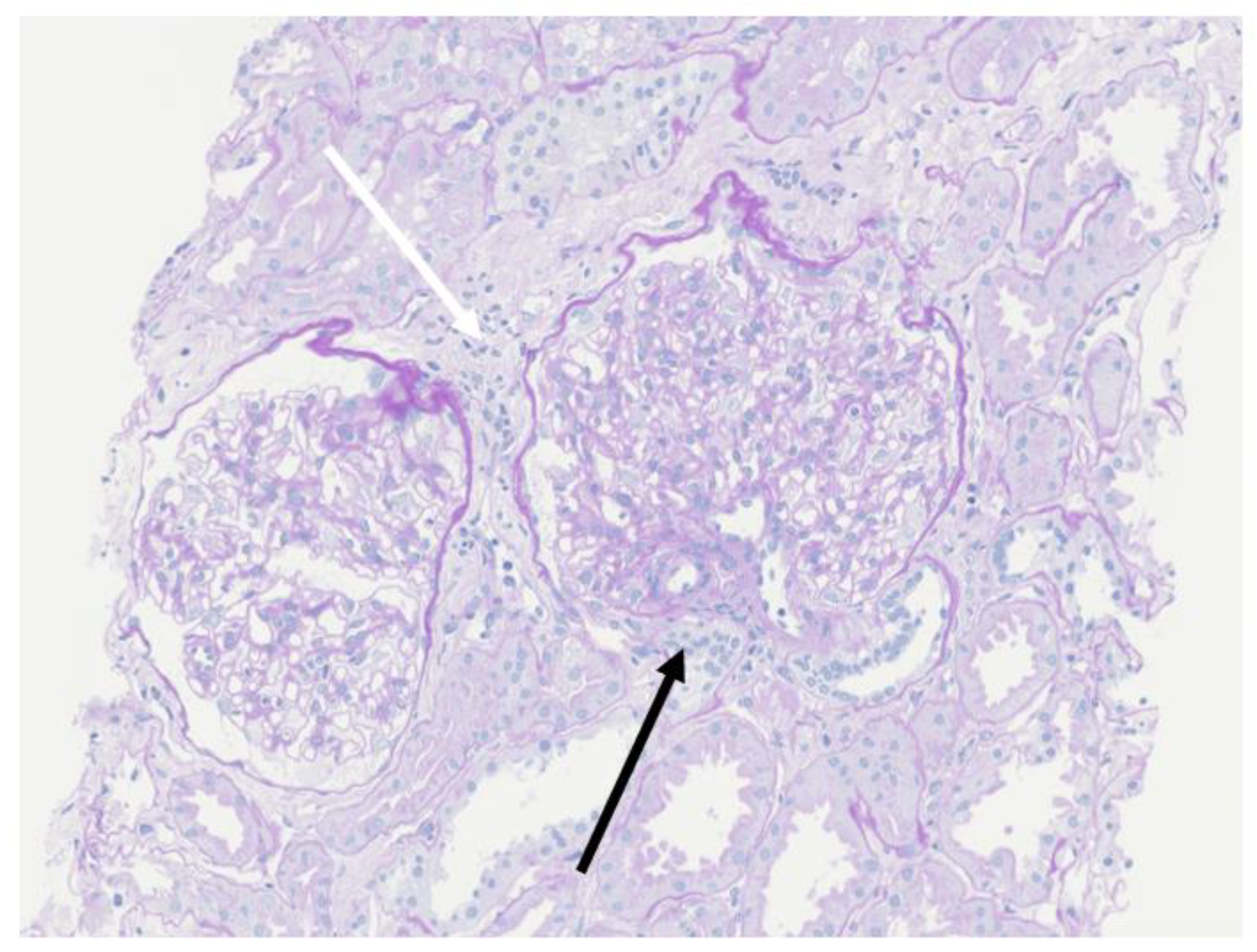 Pediatrrep 14 00022 g001 550