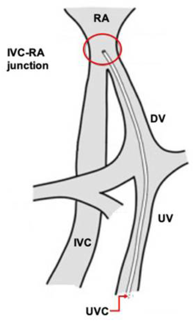 Pediatrrep 14 00047 g001